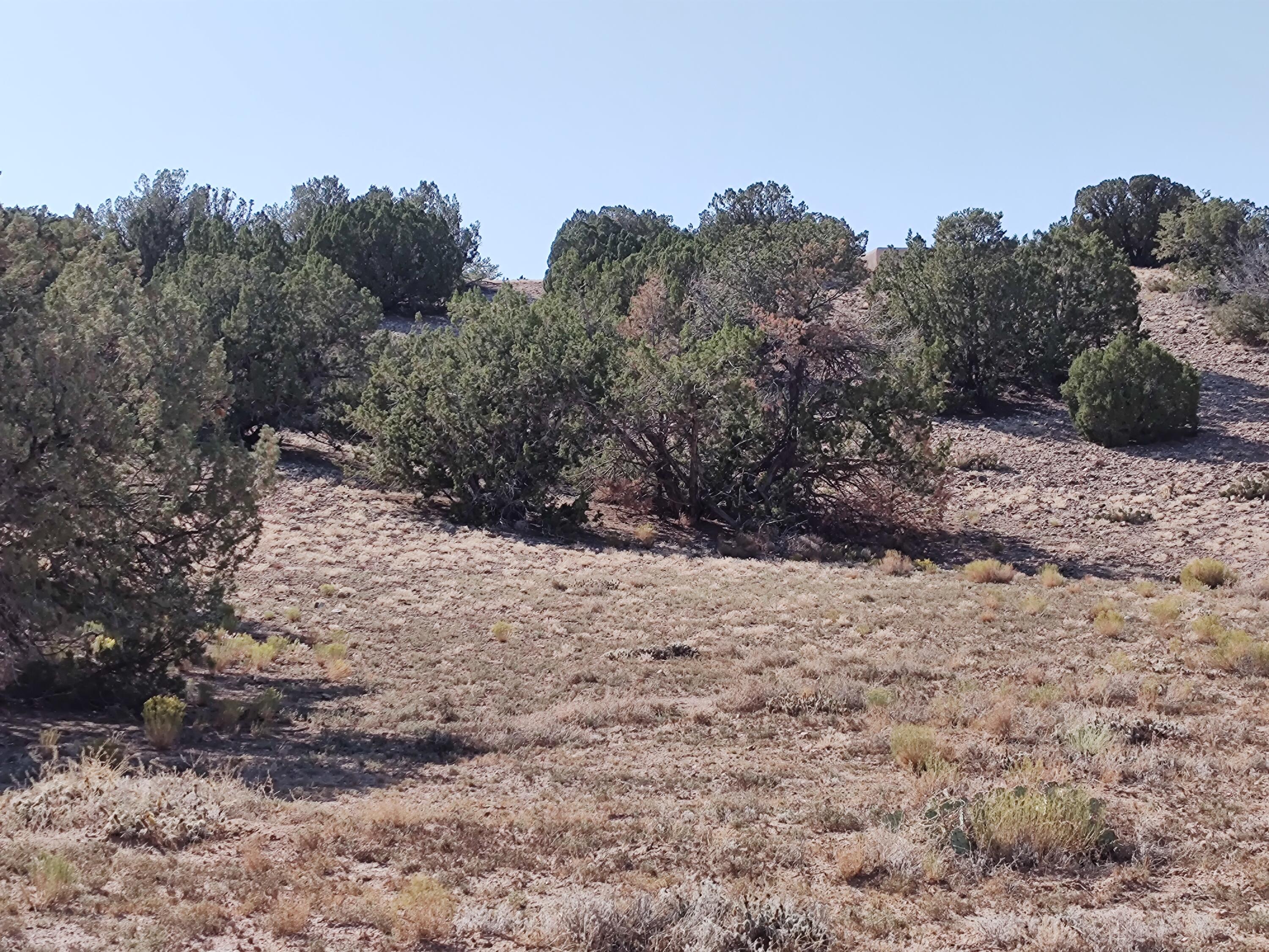 Folsom Point, Placitas, New Mexico image 8