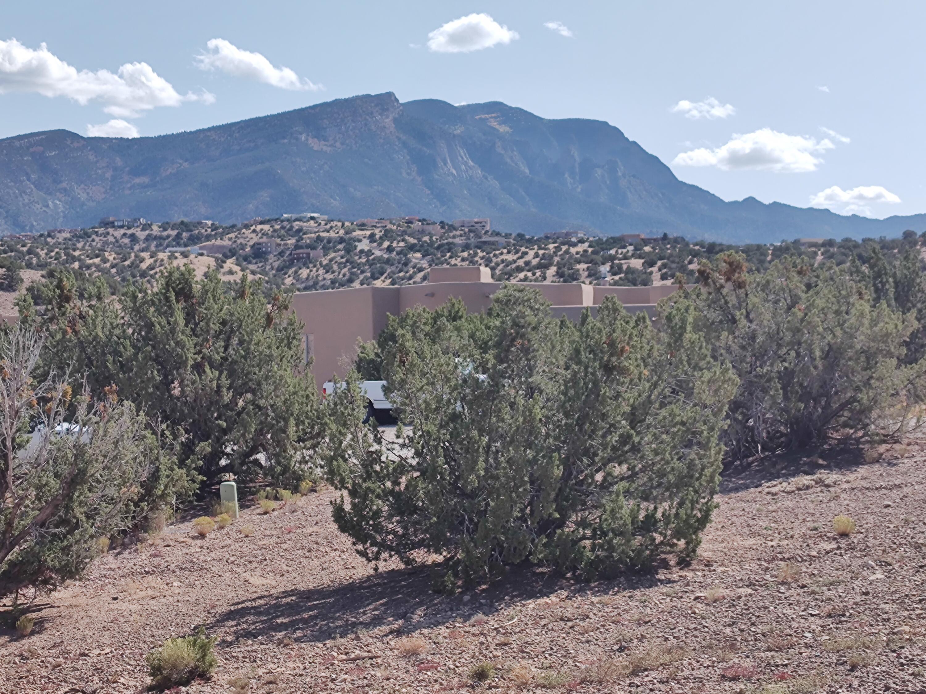 Folsom Point, Placitas, New Mexico image 14