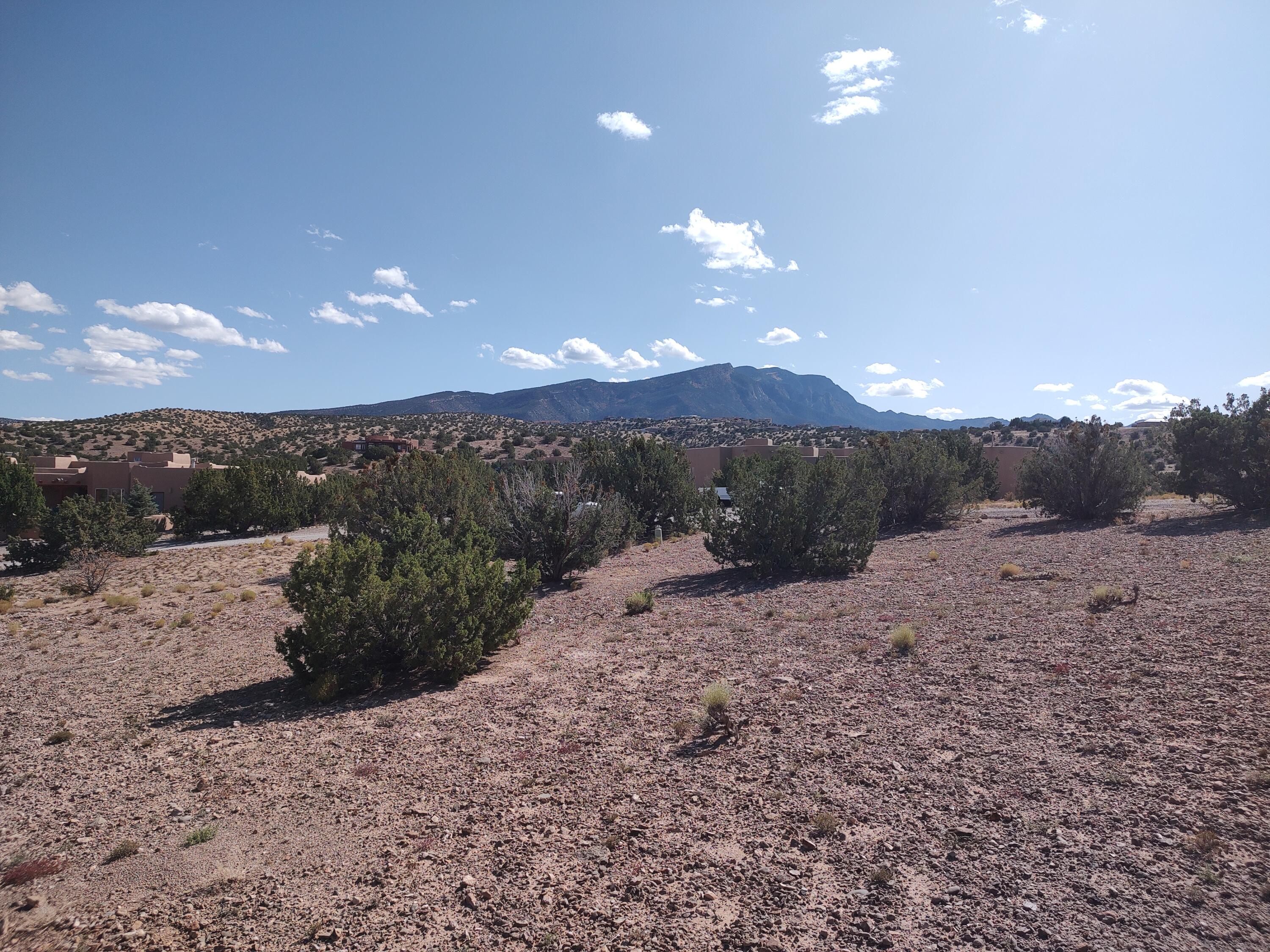 Folsom Point, Placitas, New Mexico image 5