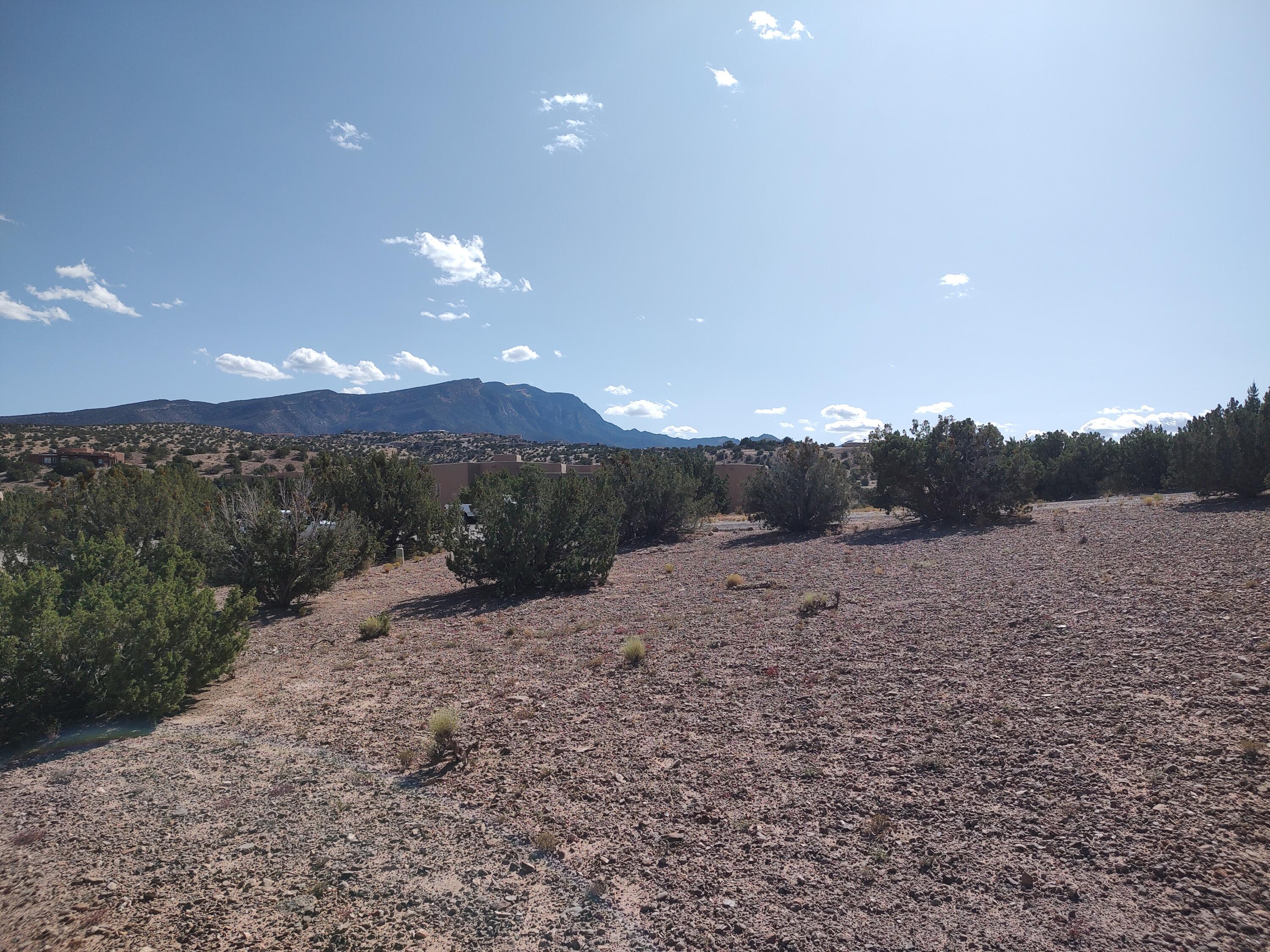 Folsom Point, Placitas, New Mexico image 13