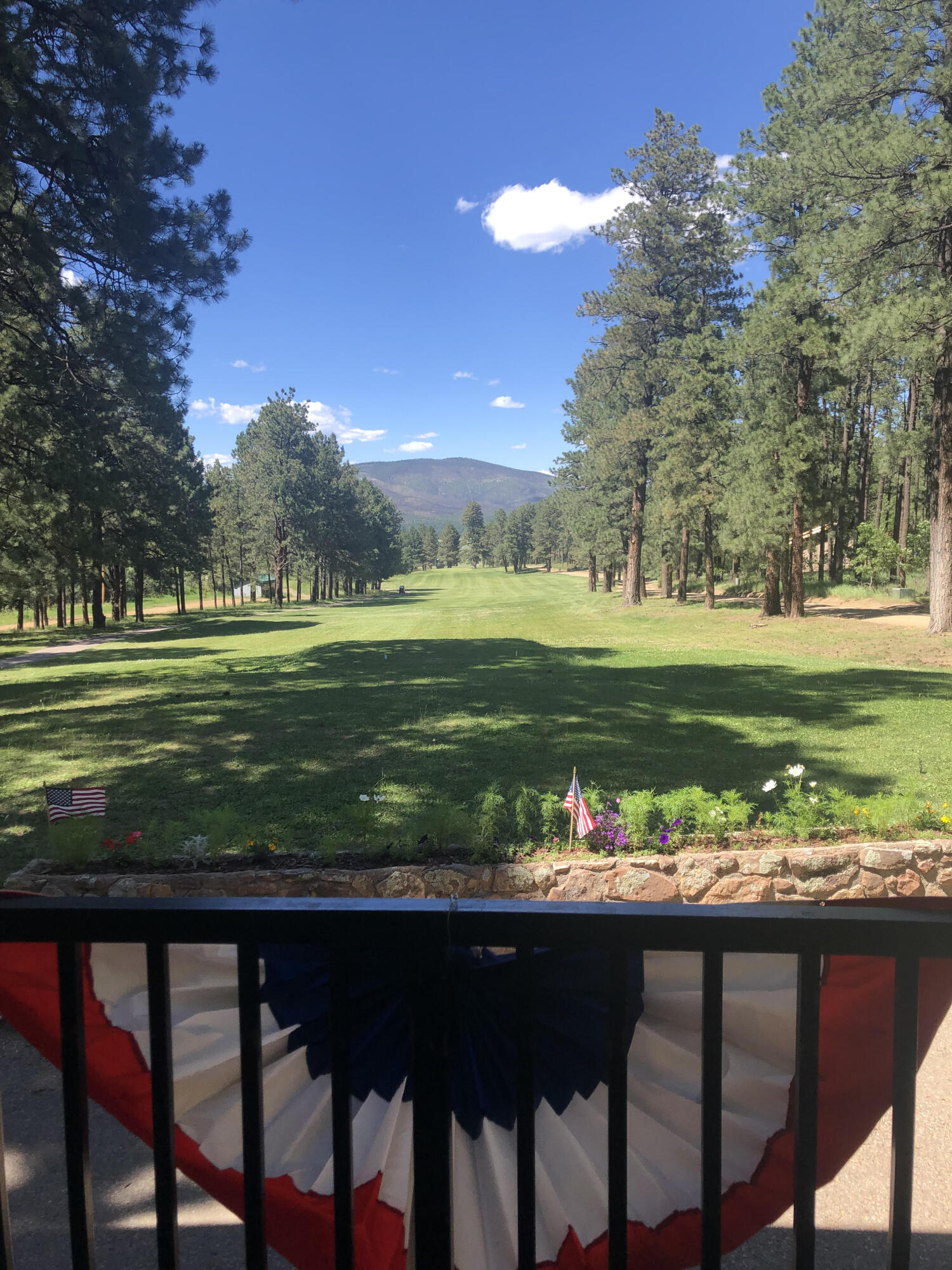 4 Forest Drive, Rociada, New Mexico image 48