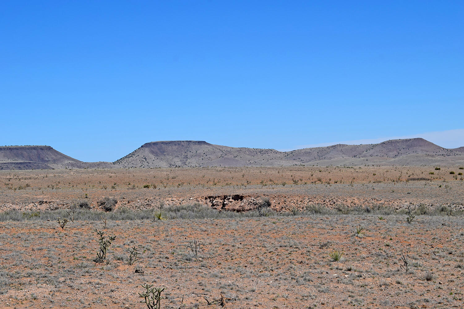 Lot 11 Prong Horn Road, San Antonio, New Mexico image 30