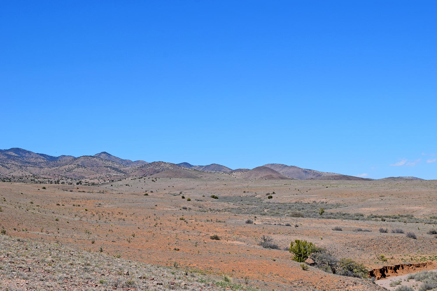 Lot 11 Prong Horn Road, San Antonio, New Mexico image 46