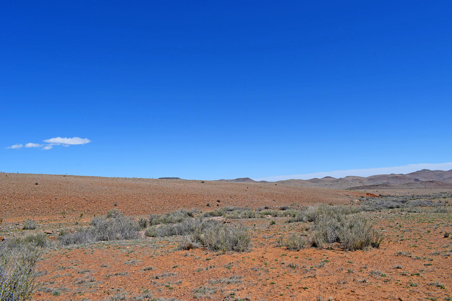 Lot 11 Prong Horn Road, San Antonio, New Mexico image 39