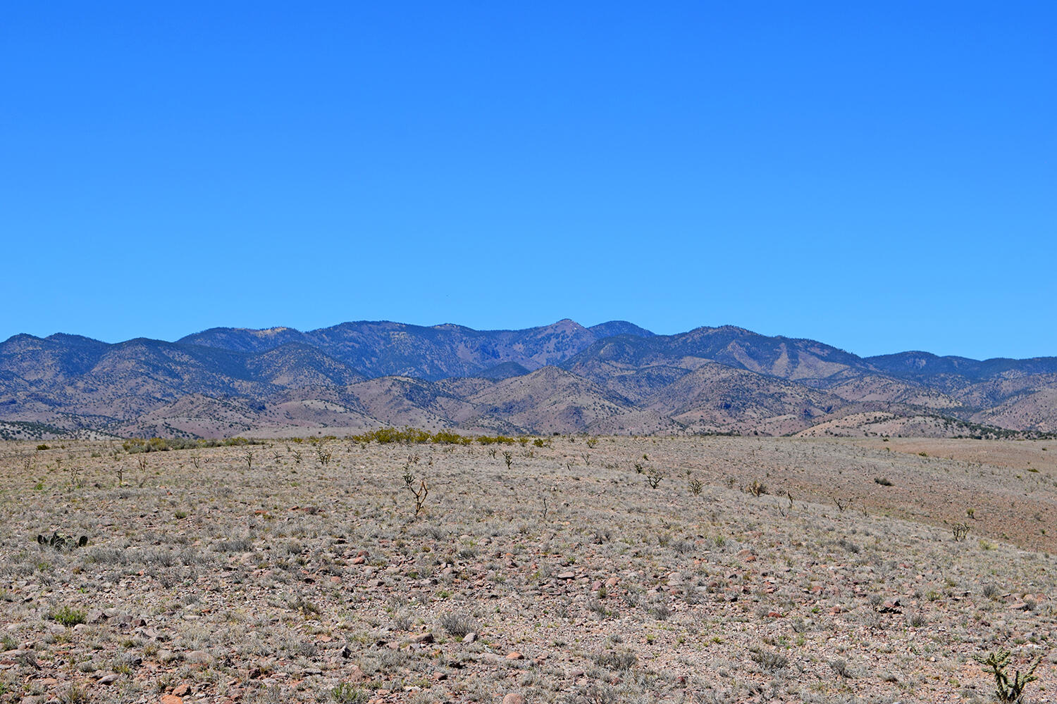 Lot 11 Prong Horn Road, San Antonio, New Mexico image 45