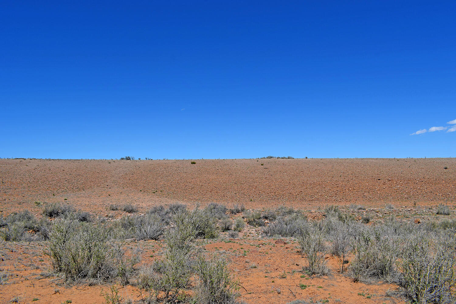 Lot 11 Prong Horn Road, San Antonio, New Mexico image 37