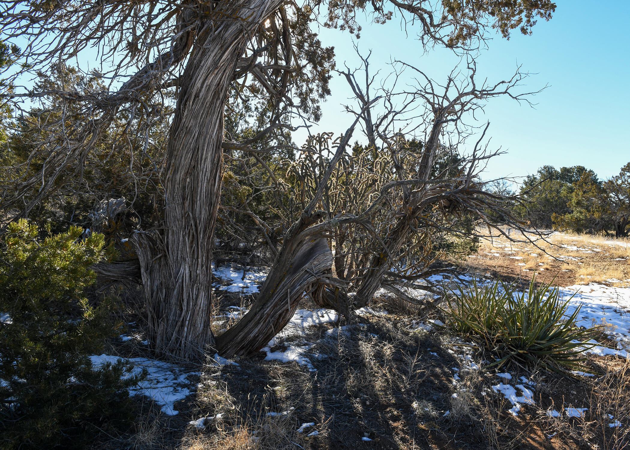 36 Eastridge Road, Edgewood, New Mexico image 5