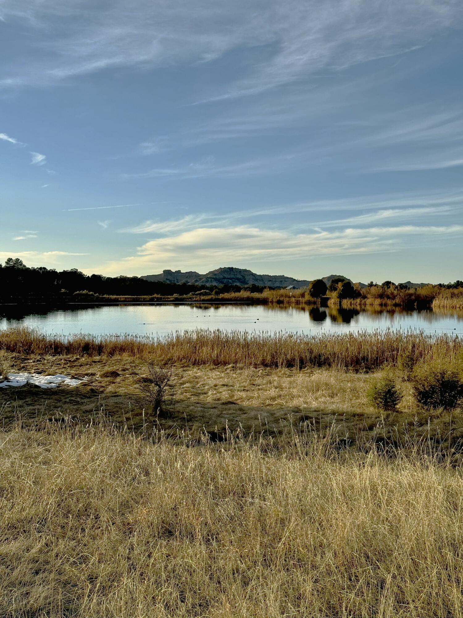 TBD S South Apache Loop, Regina, New Mexico image 5