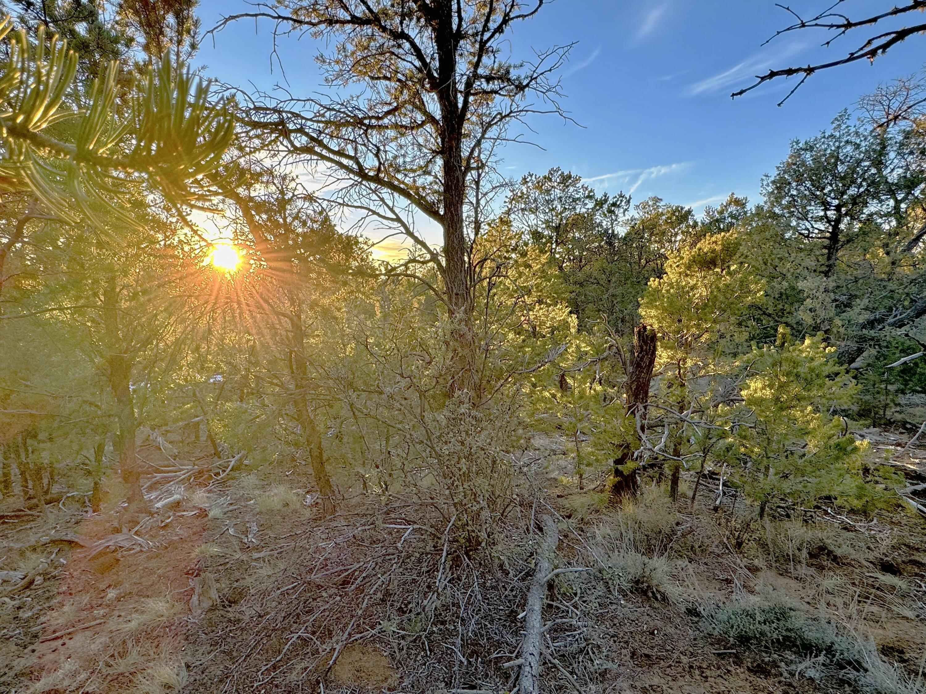 TBD S South Apache Loop, Regina, New Mexico image 22