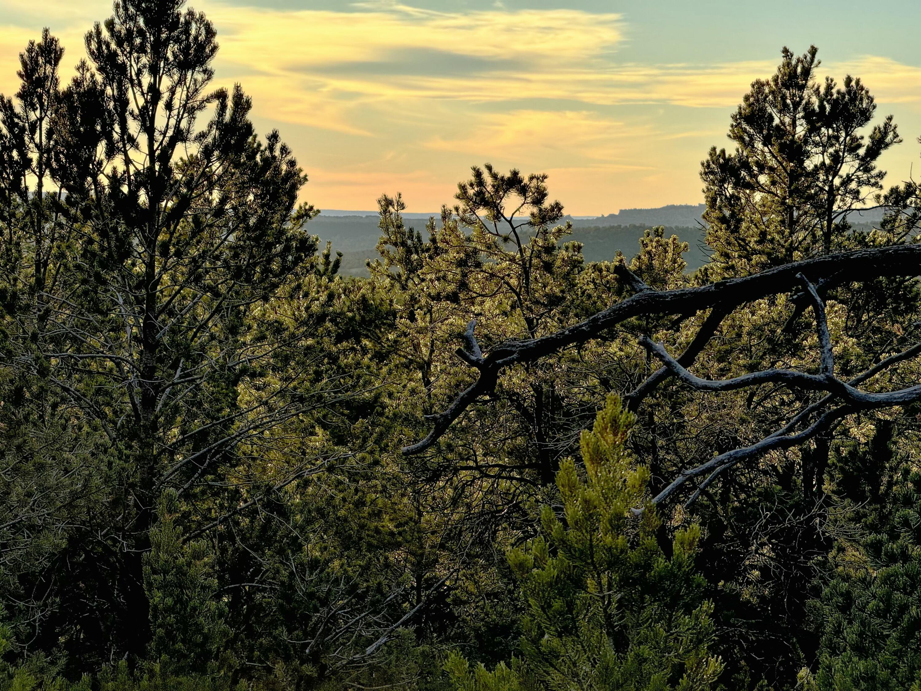 TBD S South Apache Loop, Regina, New Mexico image 18