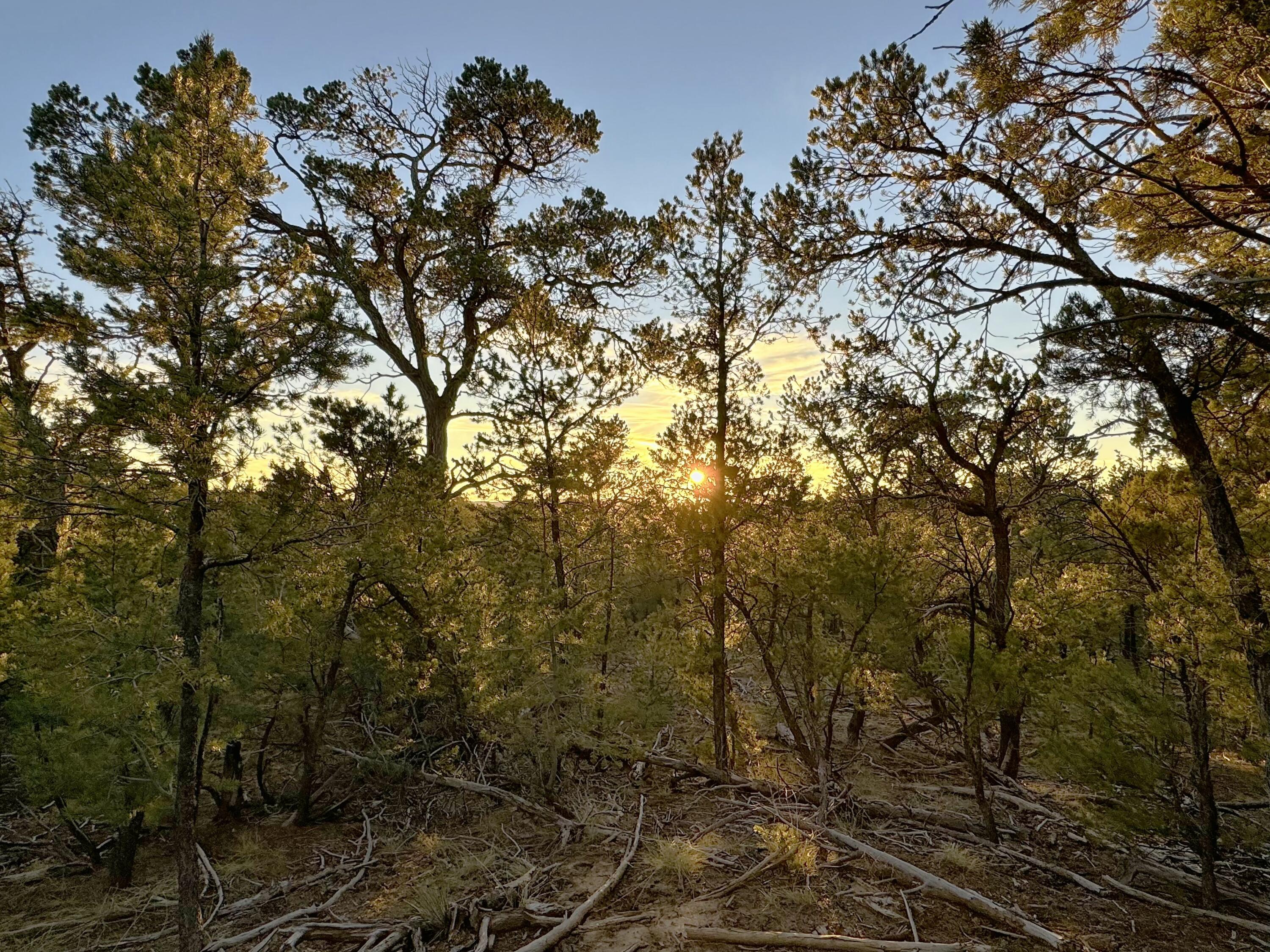 TBD S South Apache Loop, Regina, New Mexico image 24