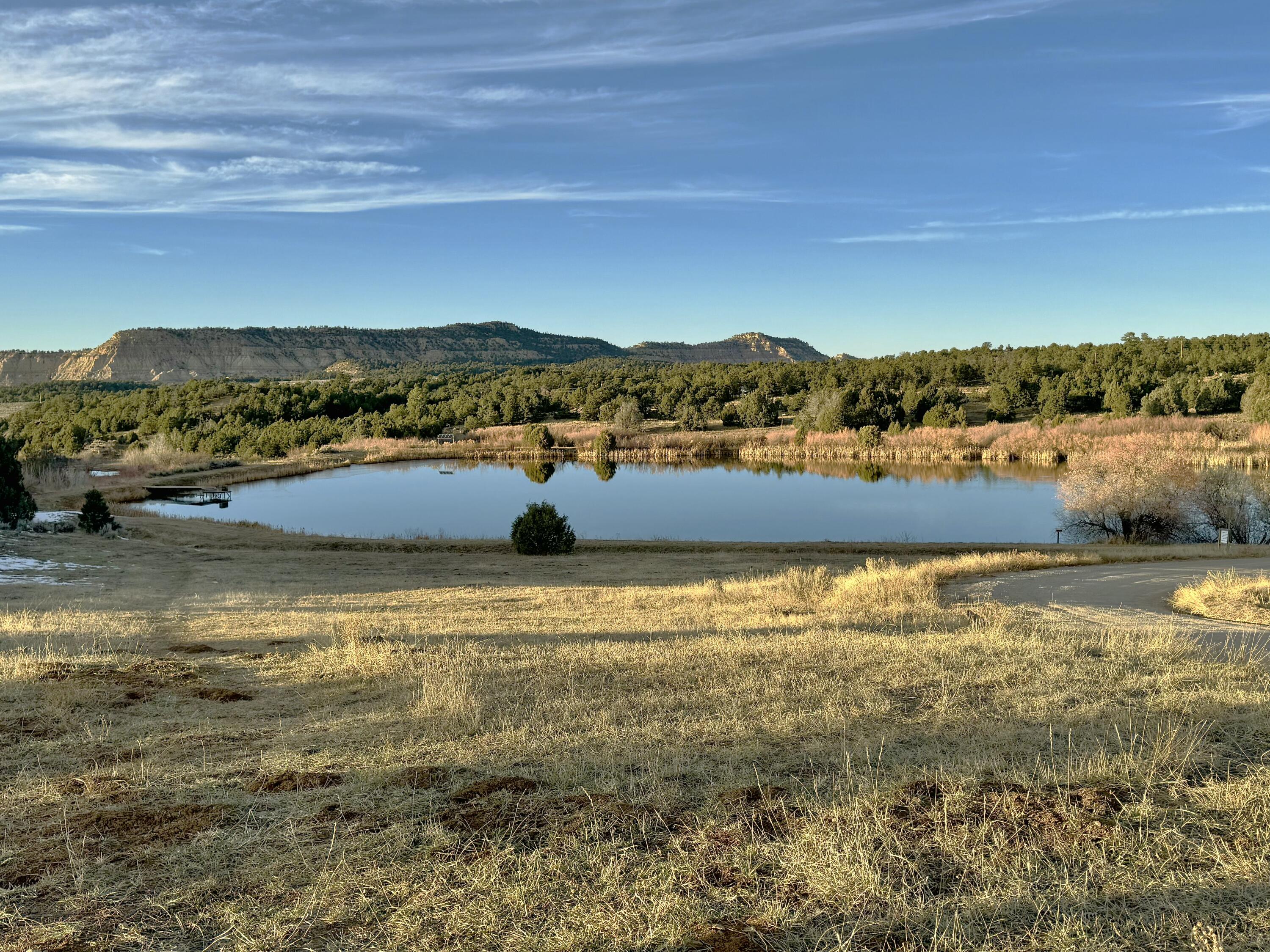 TBD S South Apache Loop, Regina, New Mexico image 9