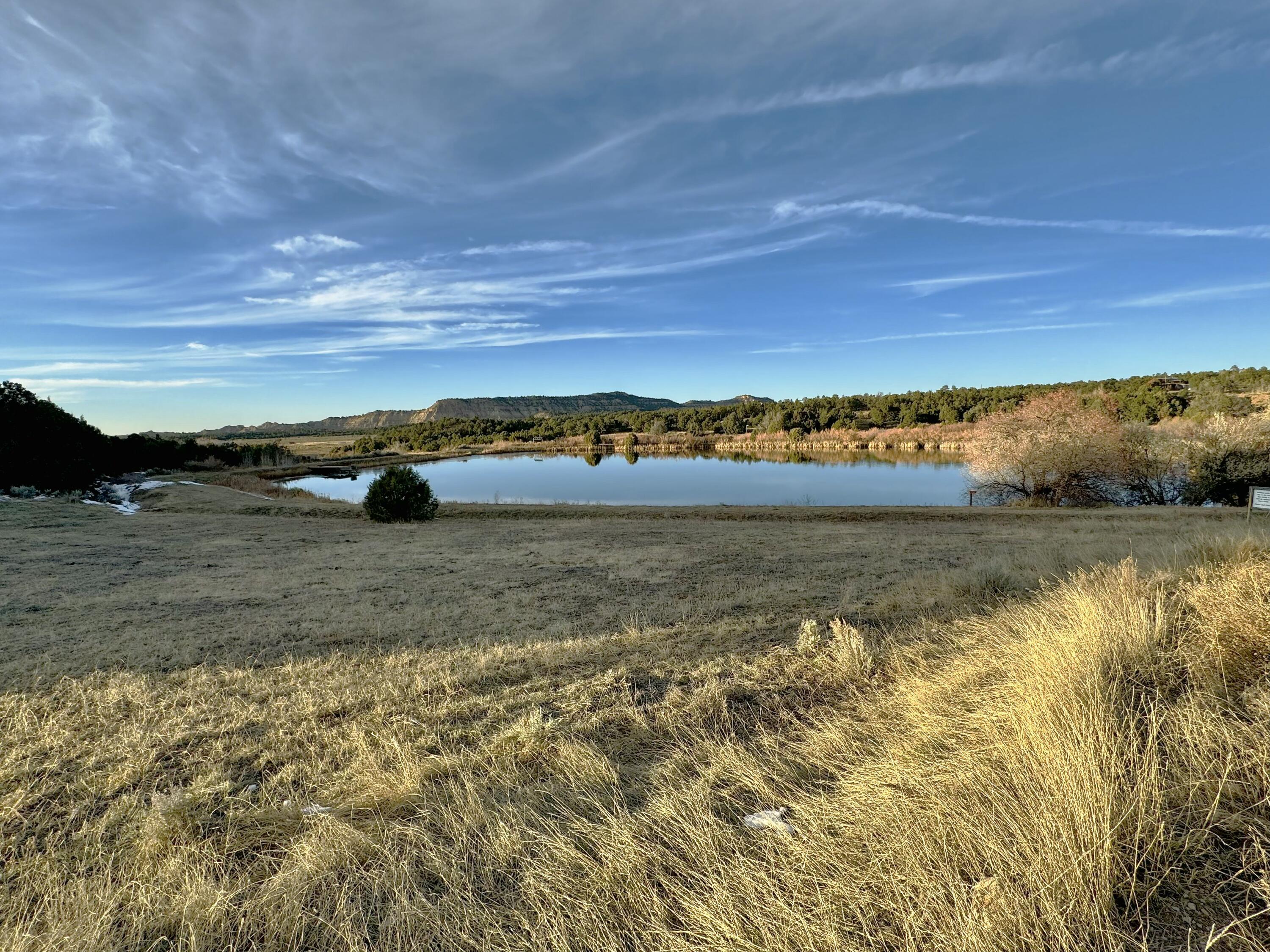 TBD S South Apache Loop, Regina, New Mexico image 4