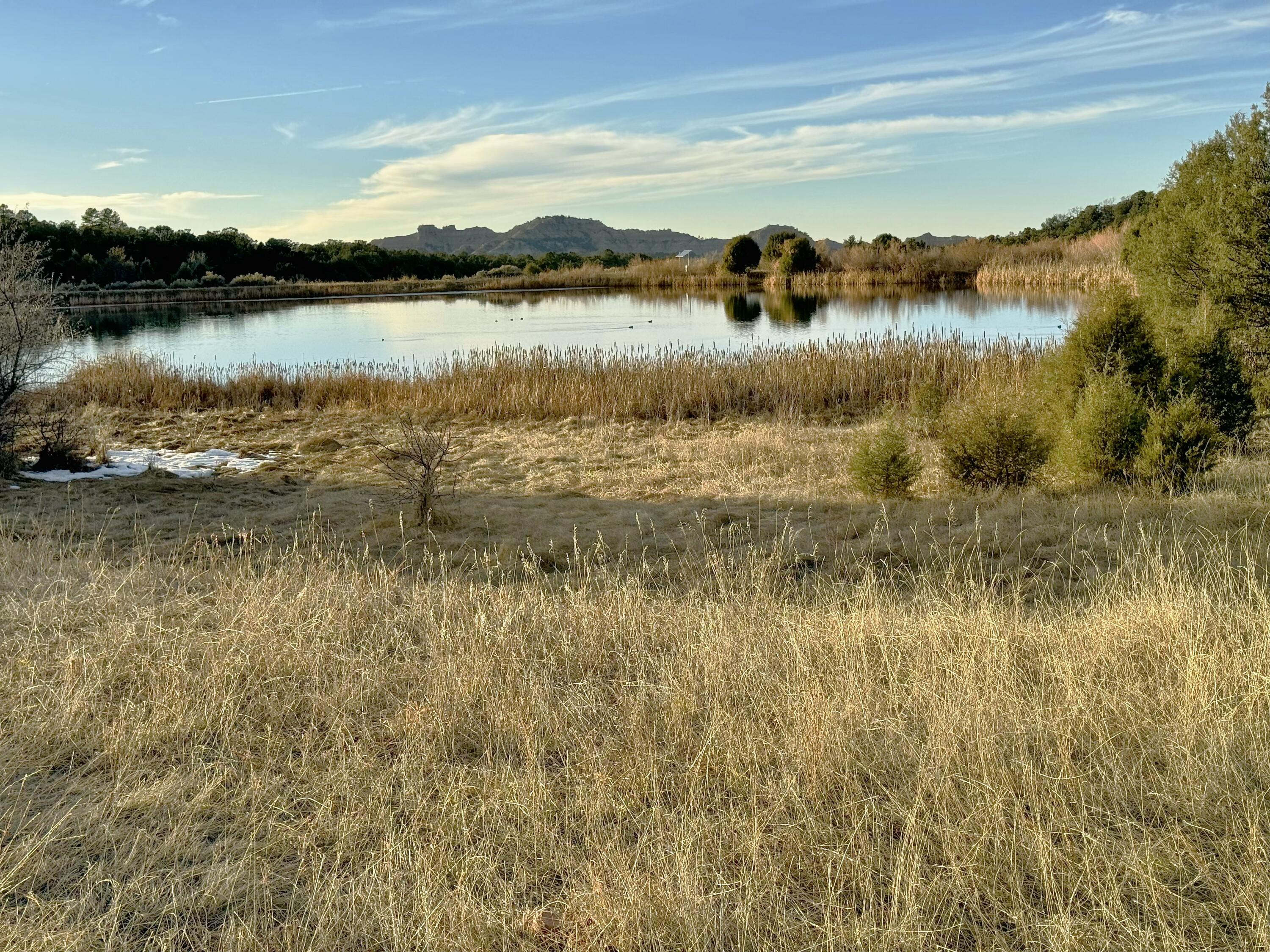 TBD S South Apache Loop, Regina, New Mexico image 2