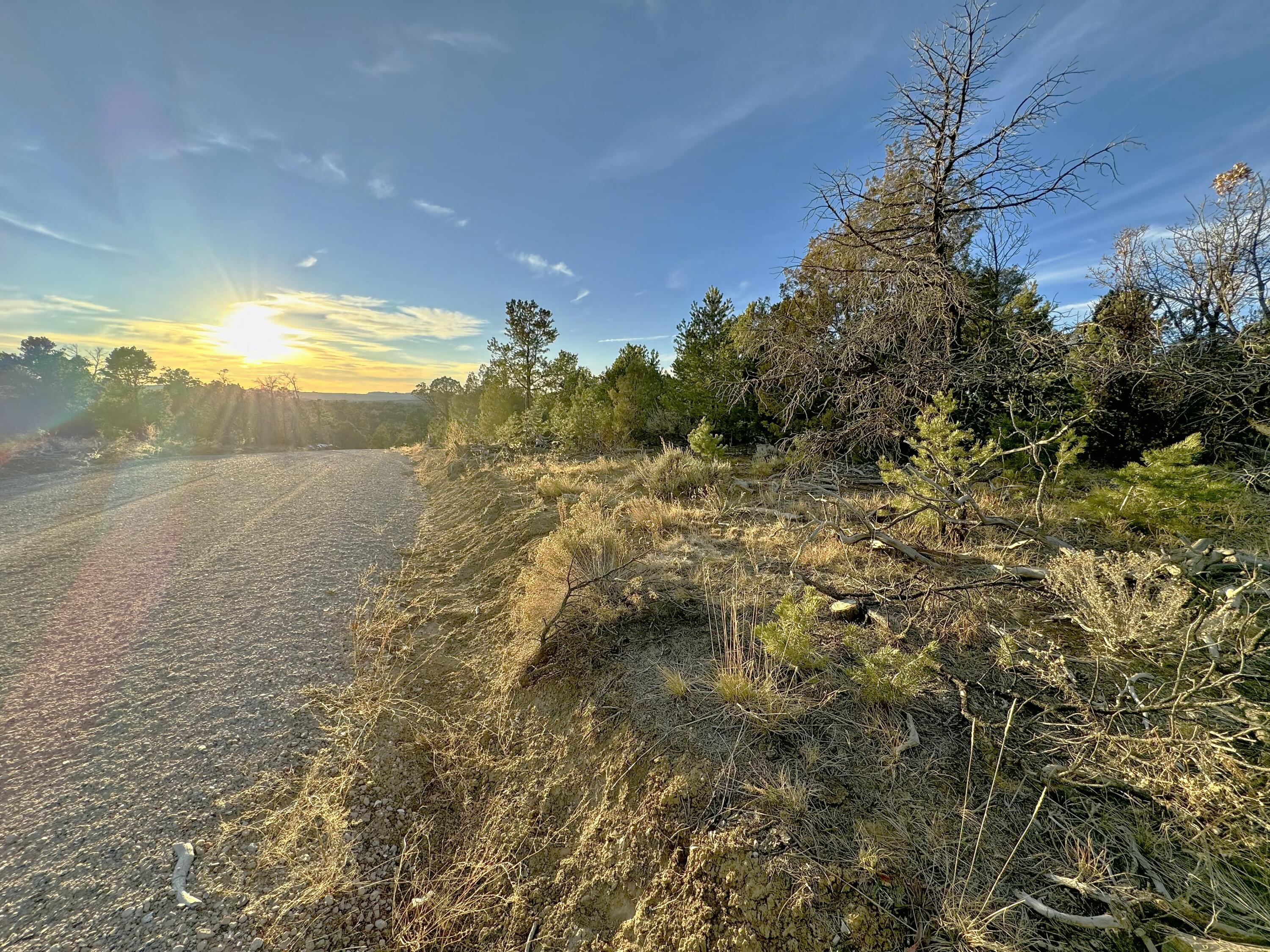 TBD S South Apache Loop, Regina, New Mexico image 25