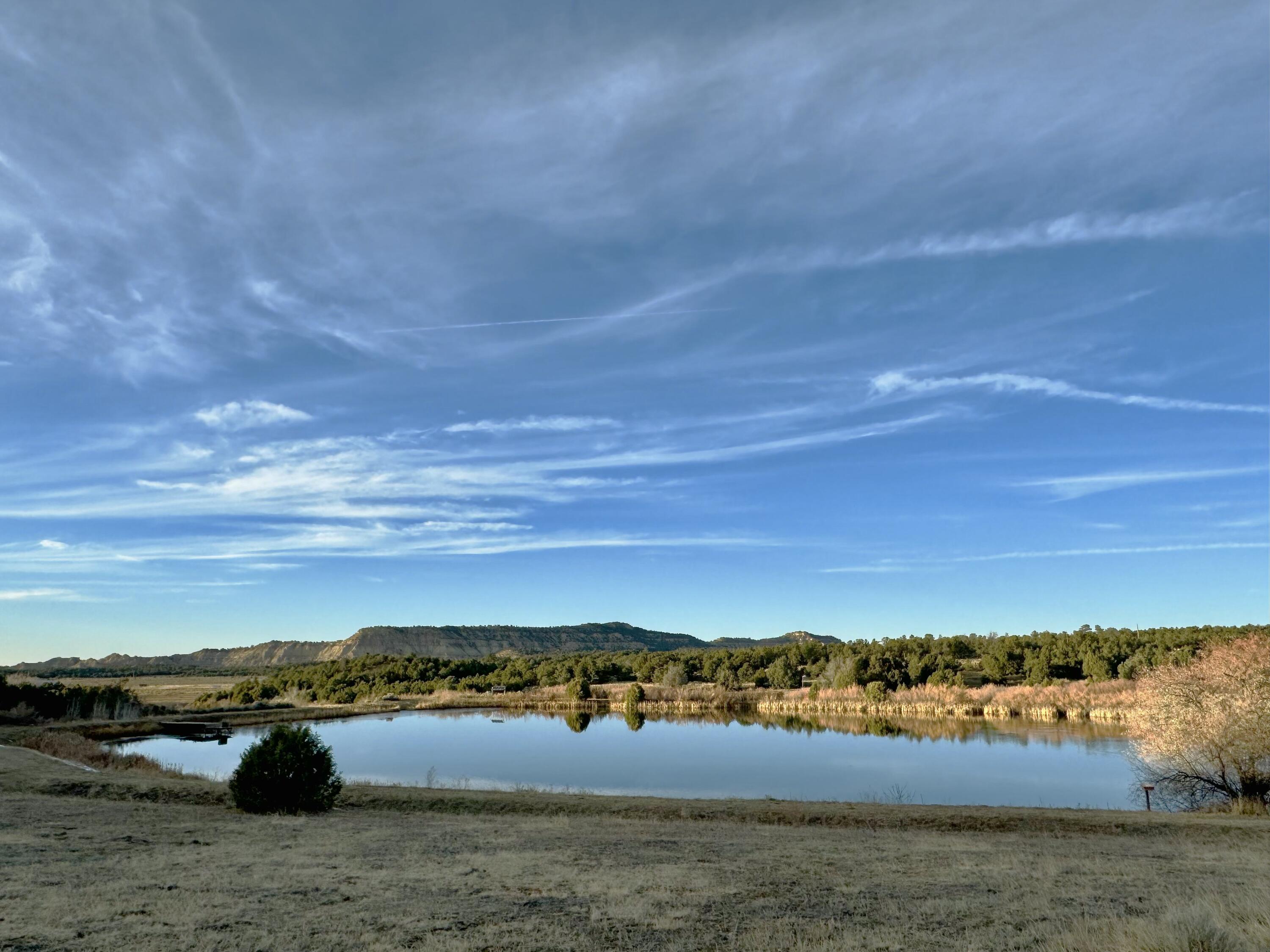 TBD S South Apache Loop, Regina, New Mexico image 11