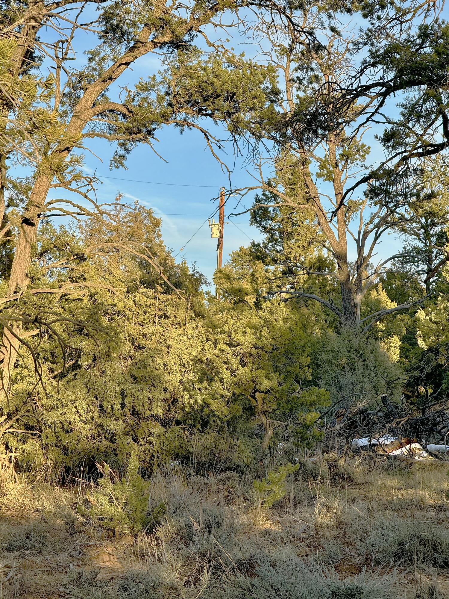 TBD S South Apache Loop, Regina, New Mexico image 16