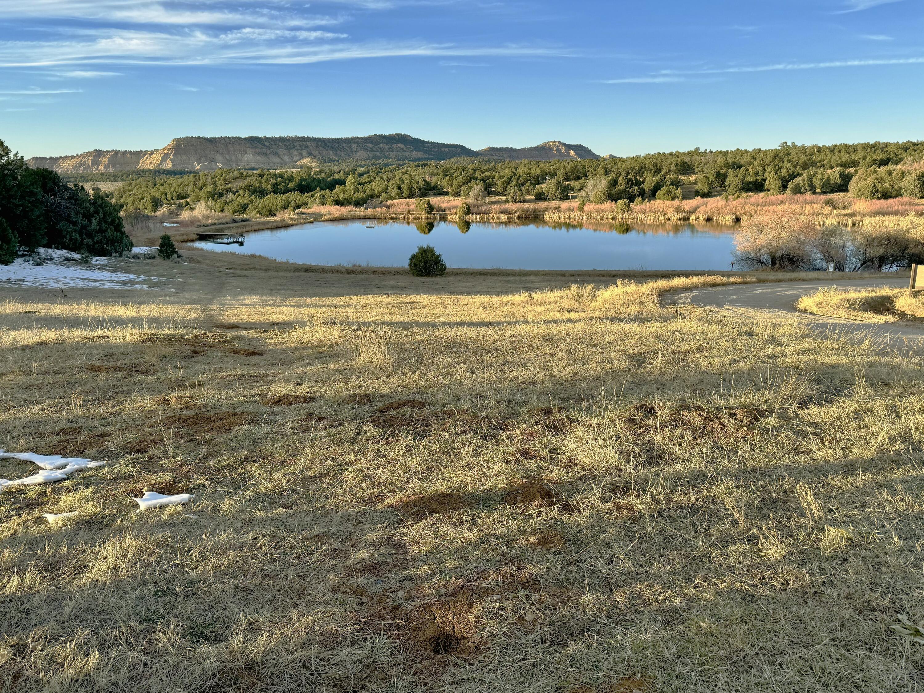 TBD S South Apache Loop, Regina, New Mexico image 7