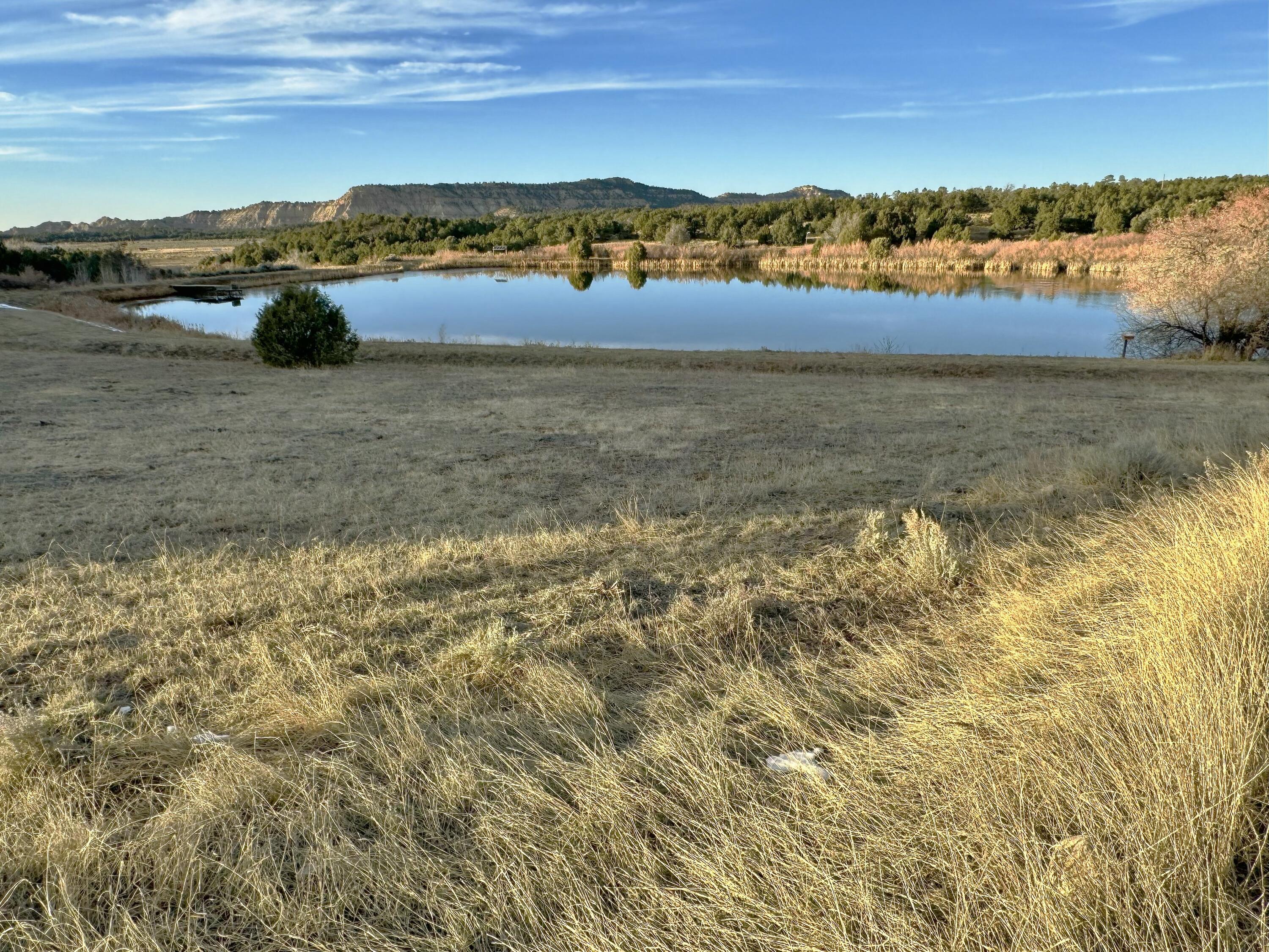 TBD S South Apache Loop, Regina, New Mexico image 8