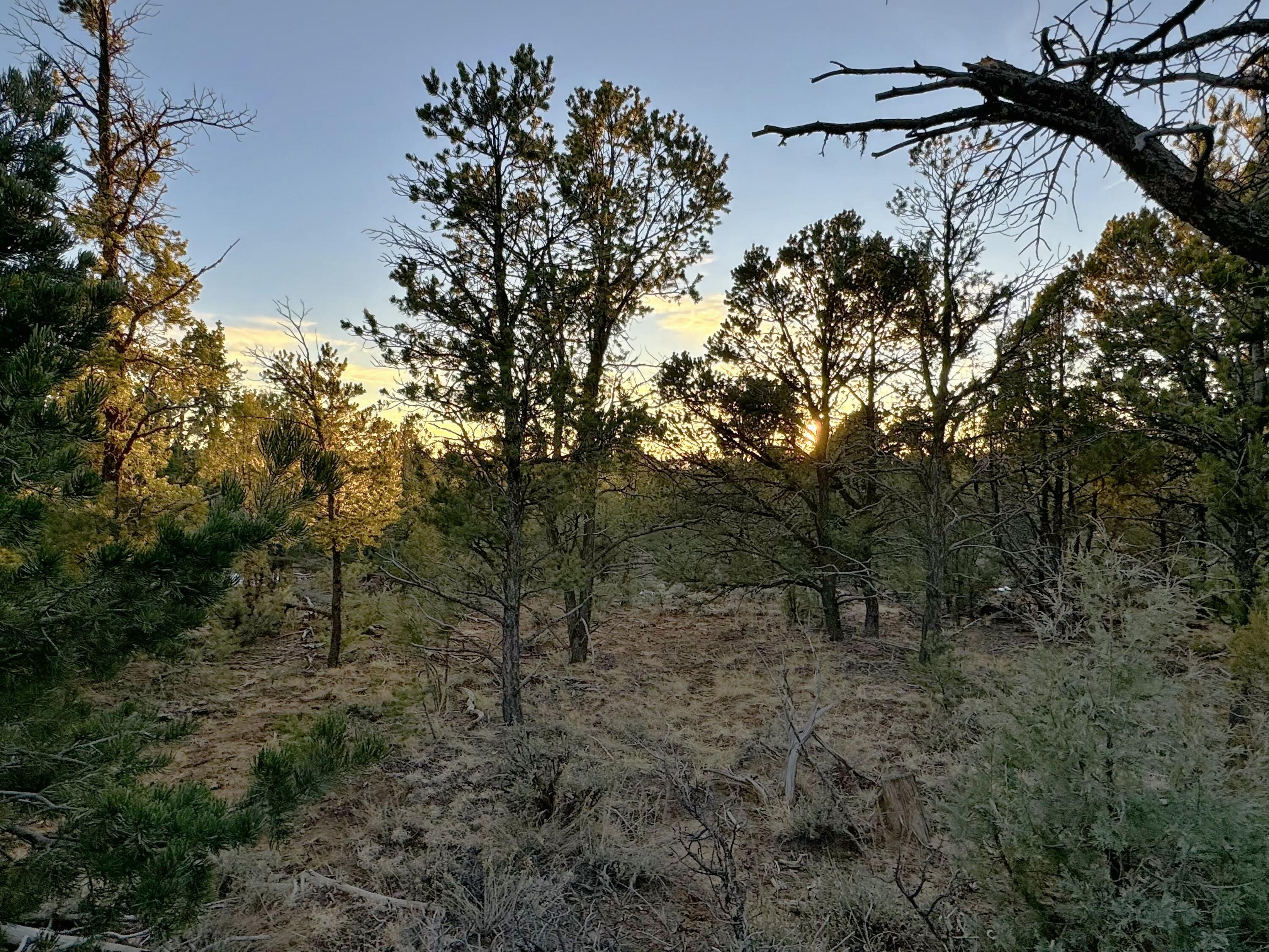 TBD S South Apache Loop, Regina, New Mexico image 23