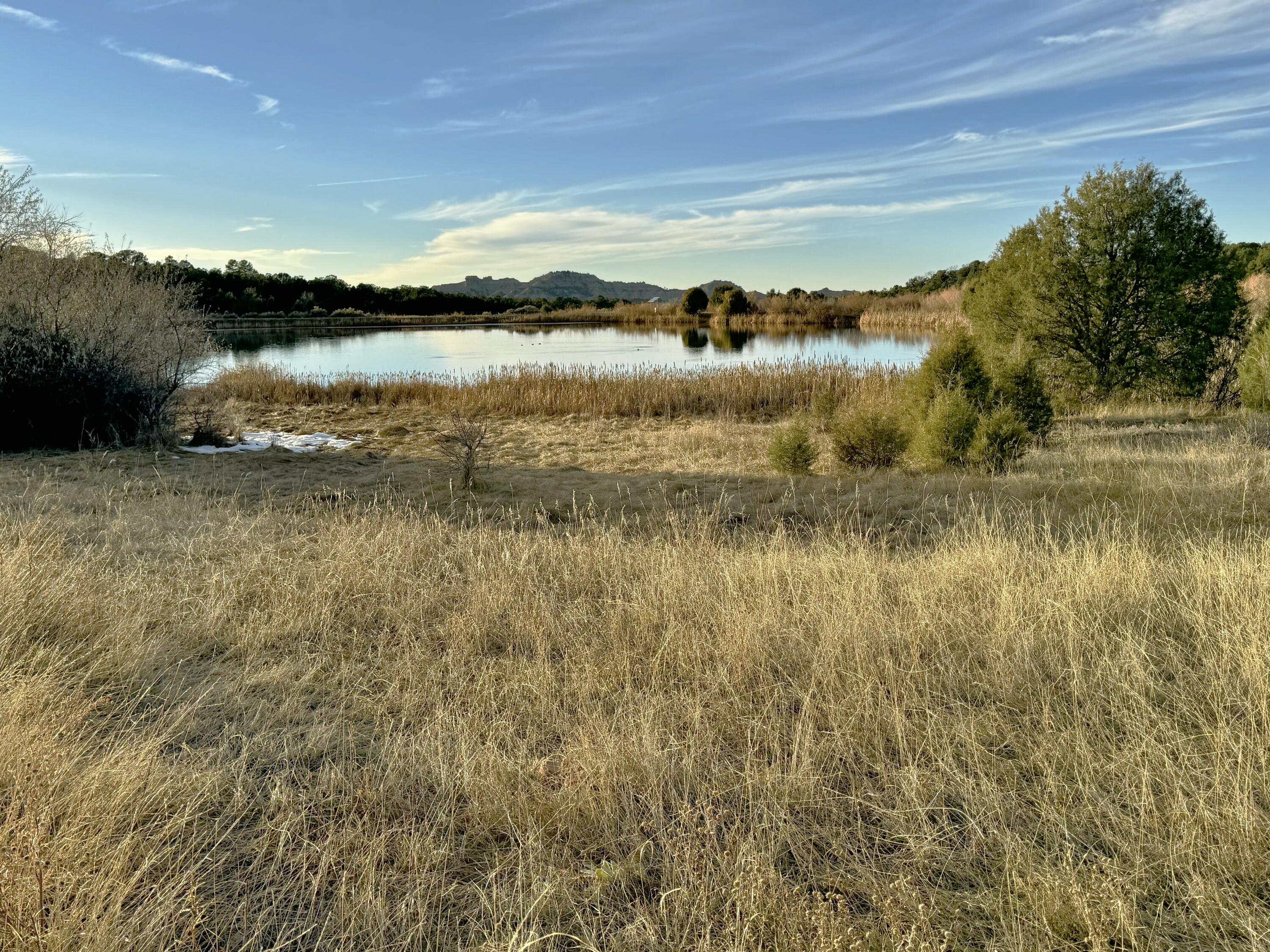 TBD S South Apache Loop, Regina, New Mexico image 3