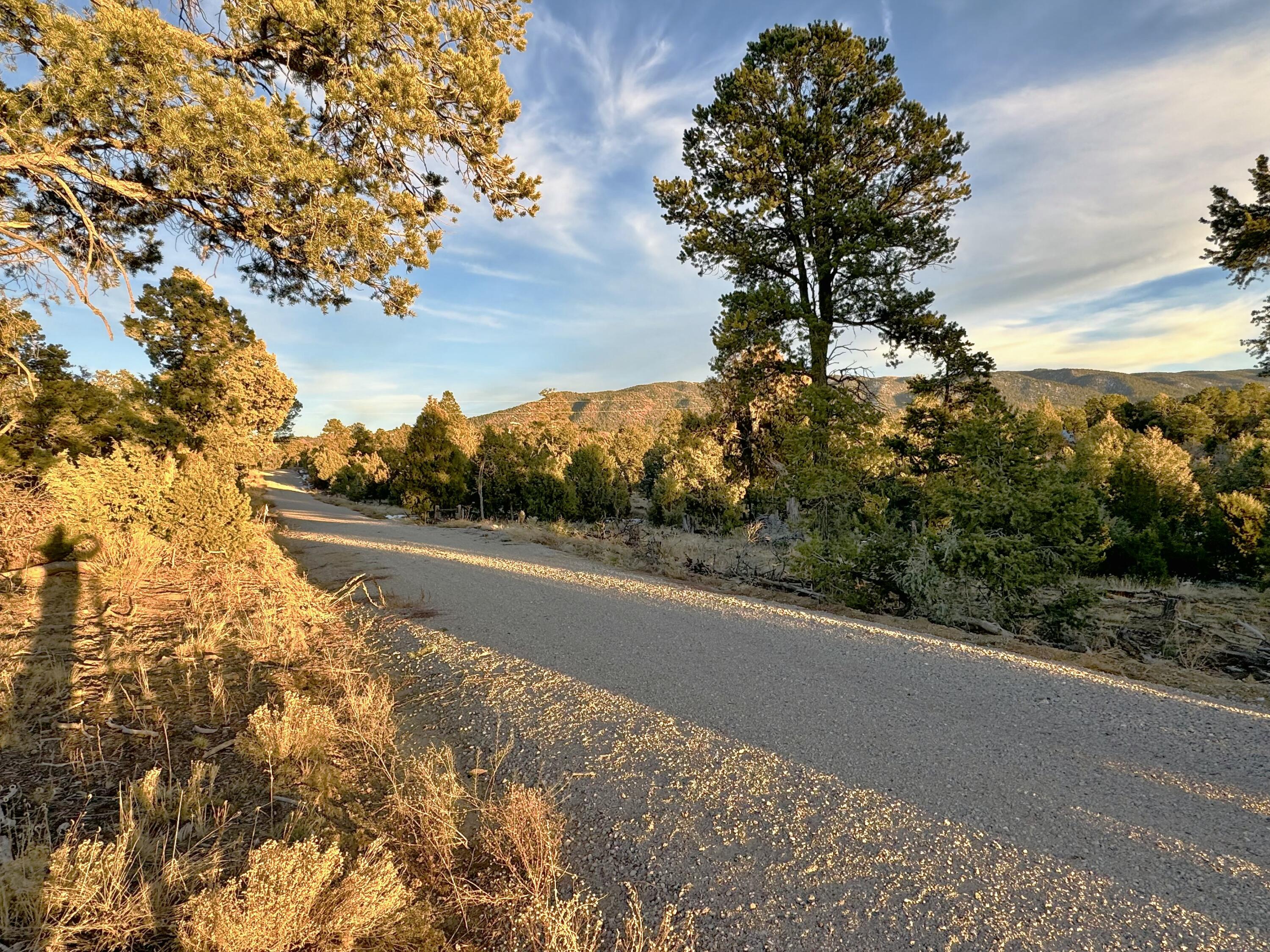 TBD S South Apache Loop, Regina, New Mexico image 27