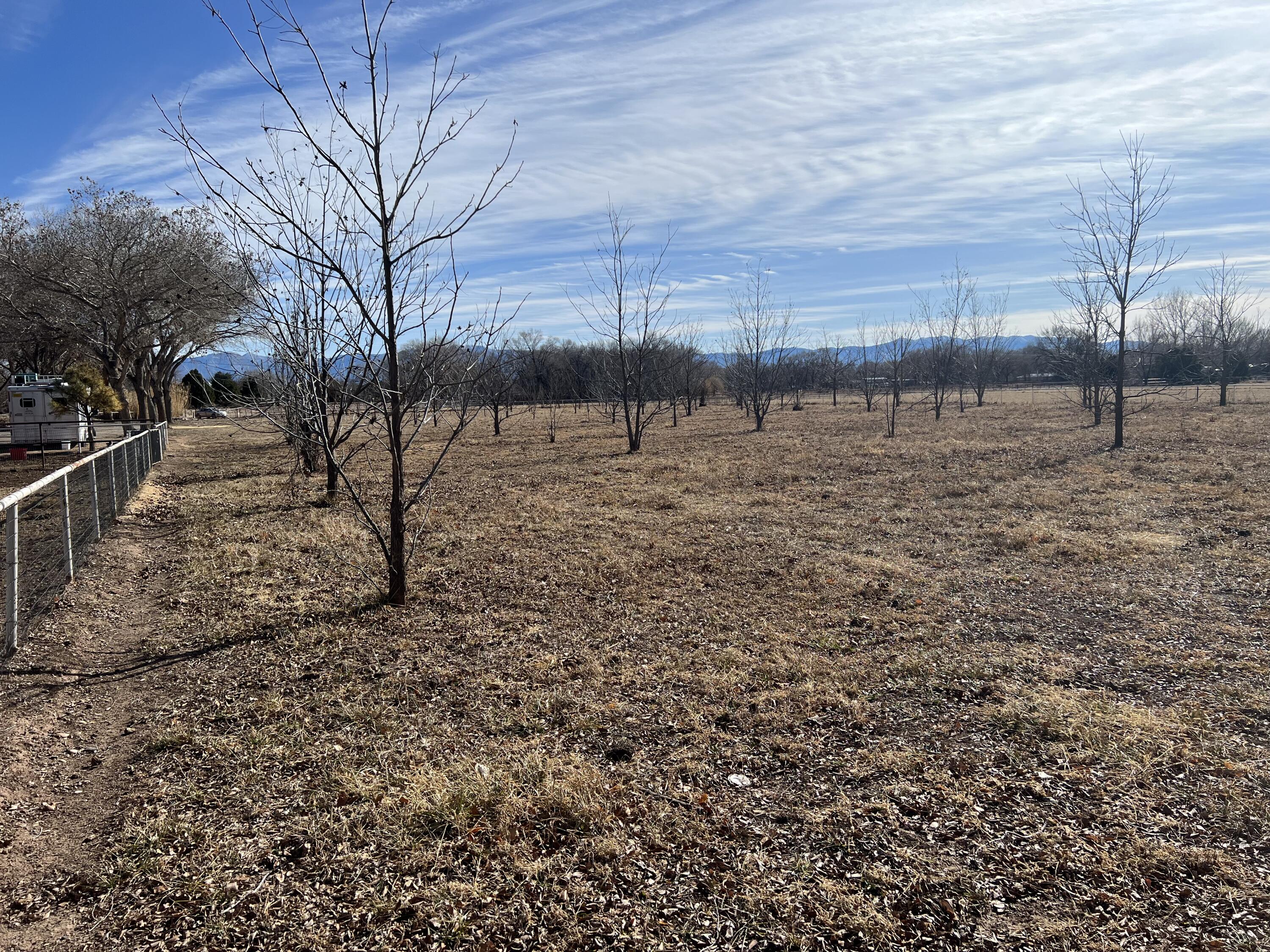 Vl Don Pedro Lane, Bosque Farms, New Mexico image 12