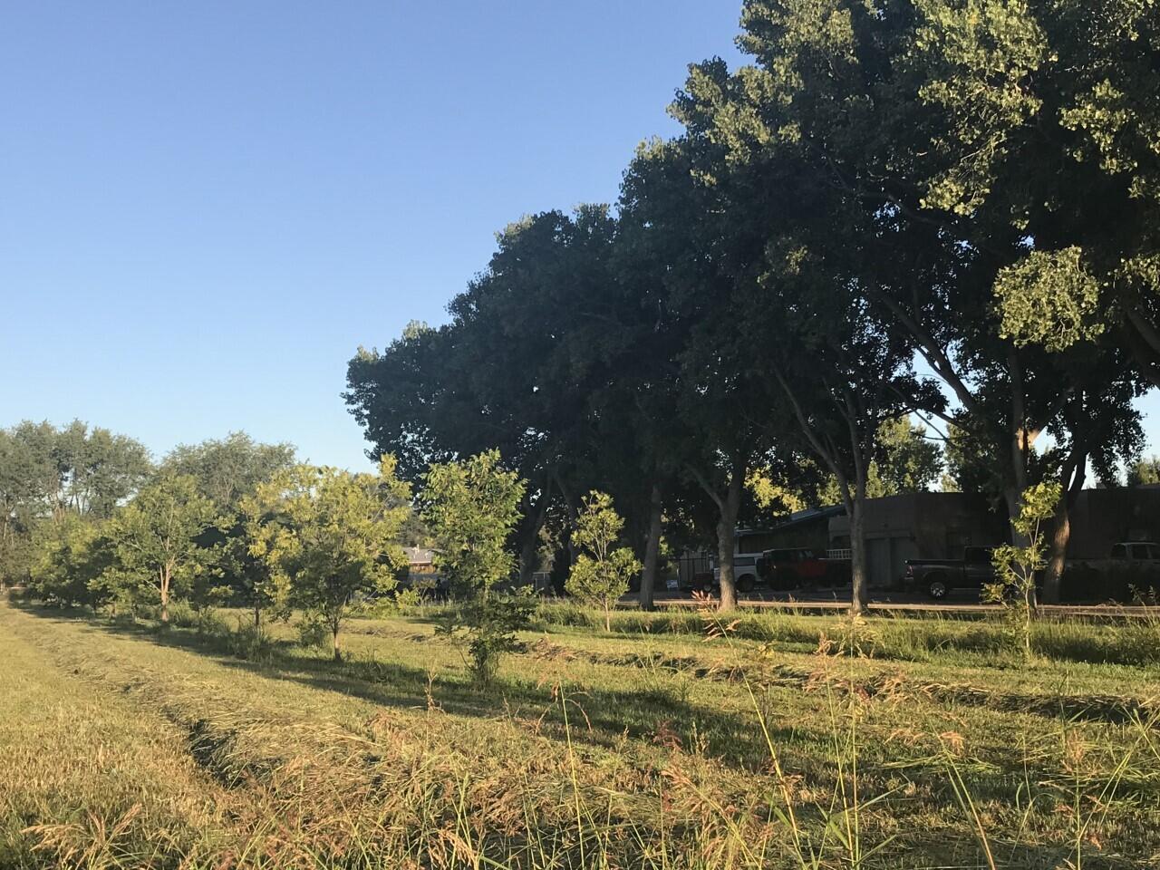 Vl Don Pedro Lane, Bosque Farms, New Mexico image 7