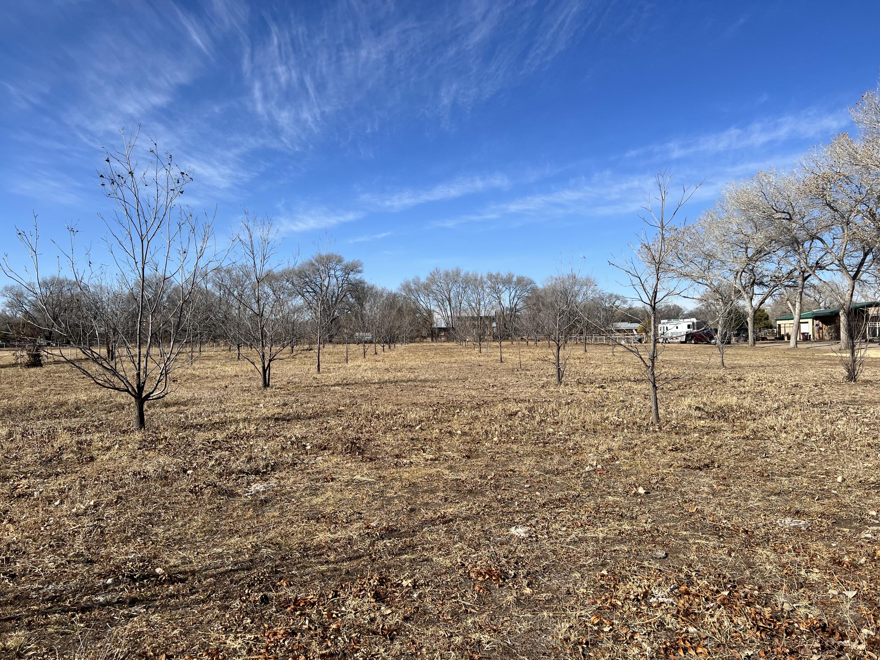 Vl Don Pedro Lane, Bosque Farms, New Mexico image 13