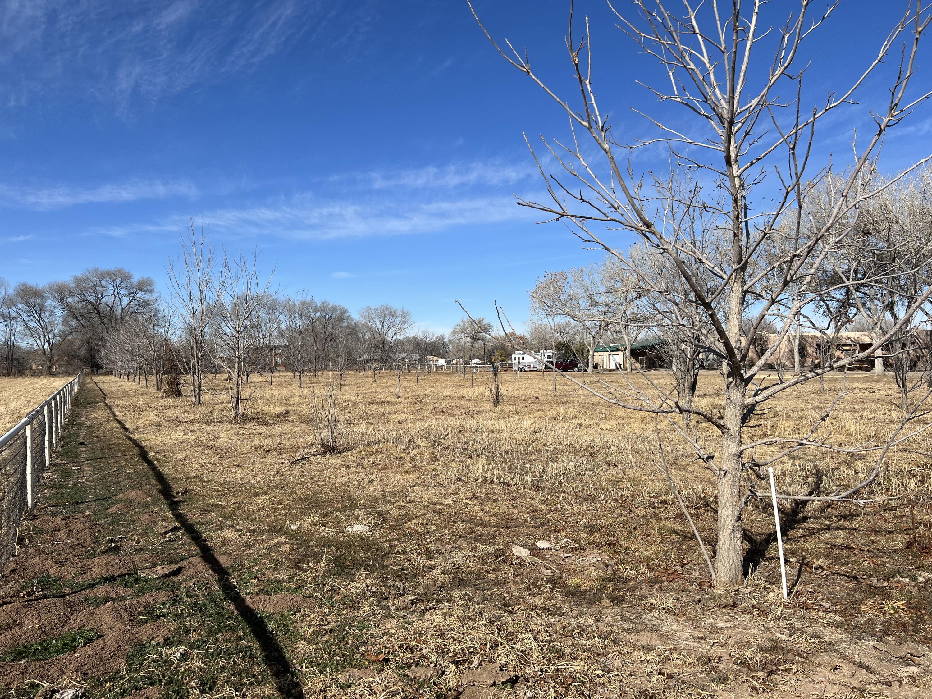 Vl Don Pedro Lane, Bosque Farms, New Mexico image 6