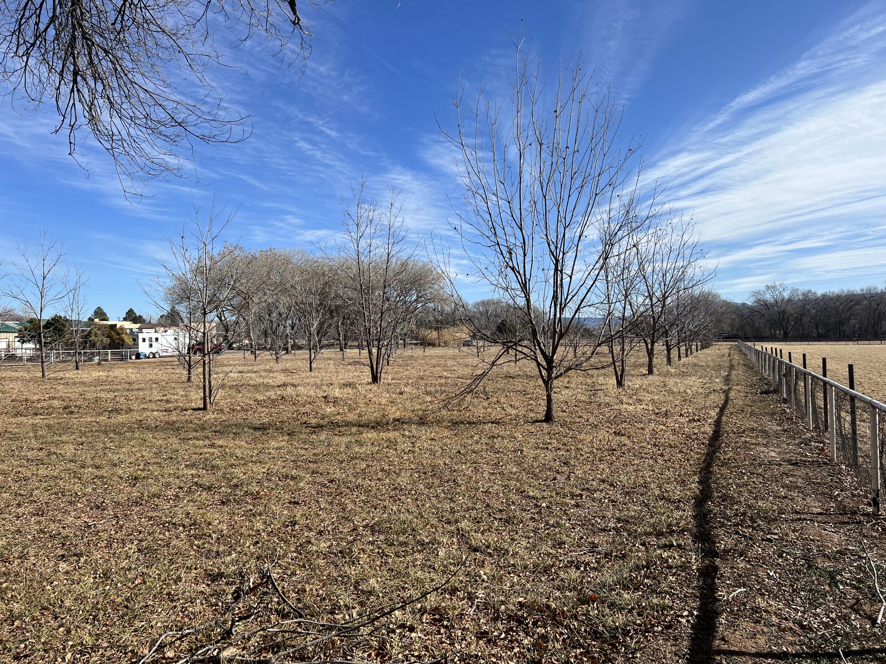 Vl Don Pedro Lane, Bosque Farms, New Mexico image 14