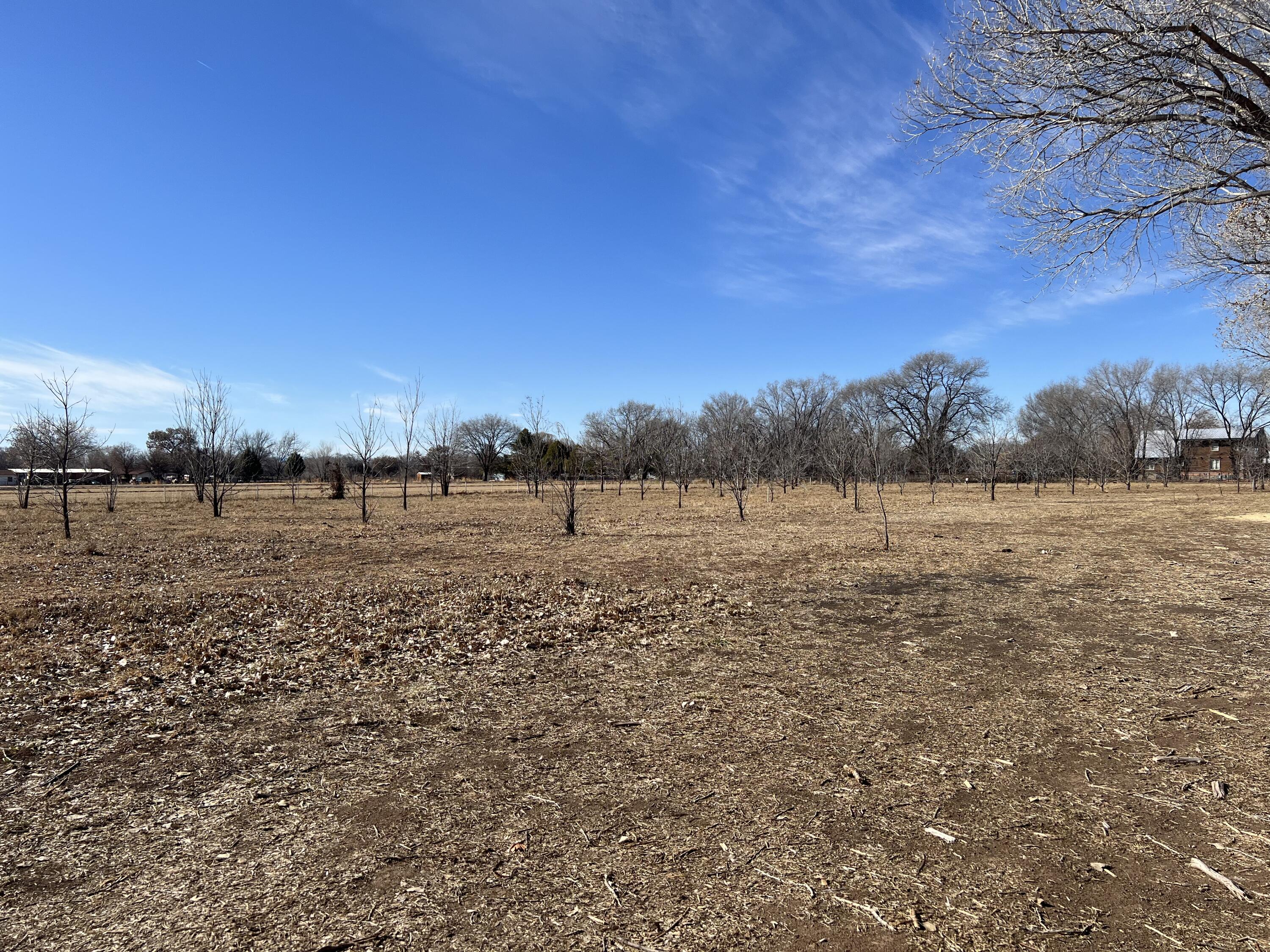 Vl Don Pedro Lane, Bosque Farms, New Mexico image 4