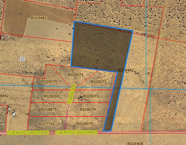 Cuervo Canyon Road, Torreon, New Mexico image 1