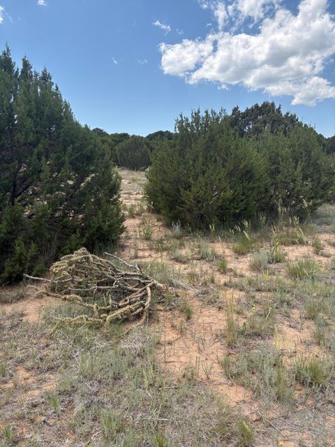 Vacant Land For Sale - Wilson Ranch Lot#8<br/> Torrance County, Tajique, NM 87016
