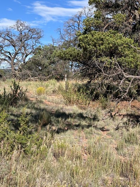 Vacant Land For Sale - 34 Lookout Circle<br/> Catron County, Datil, NM 87821