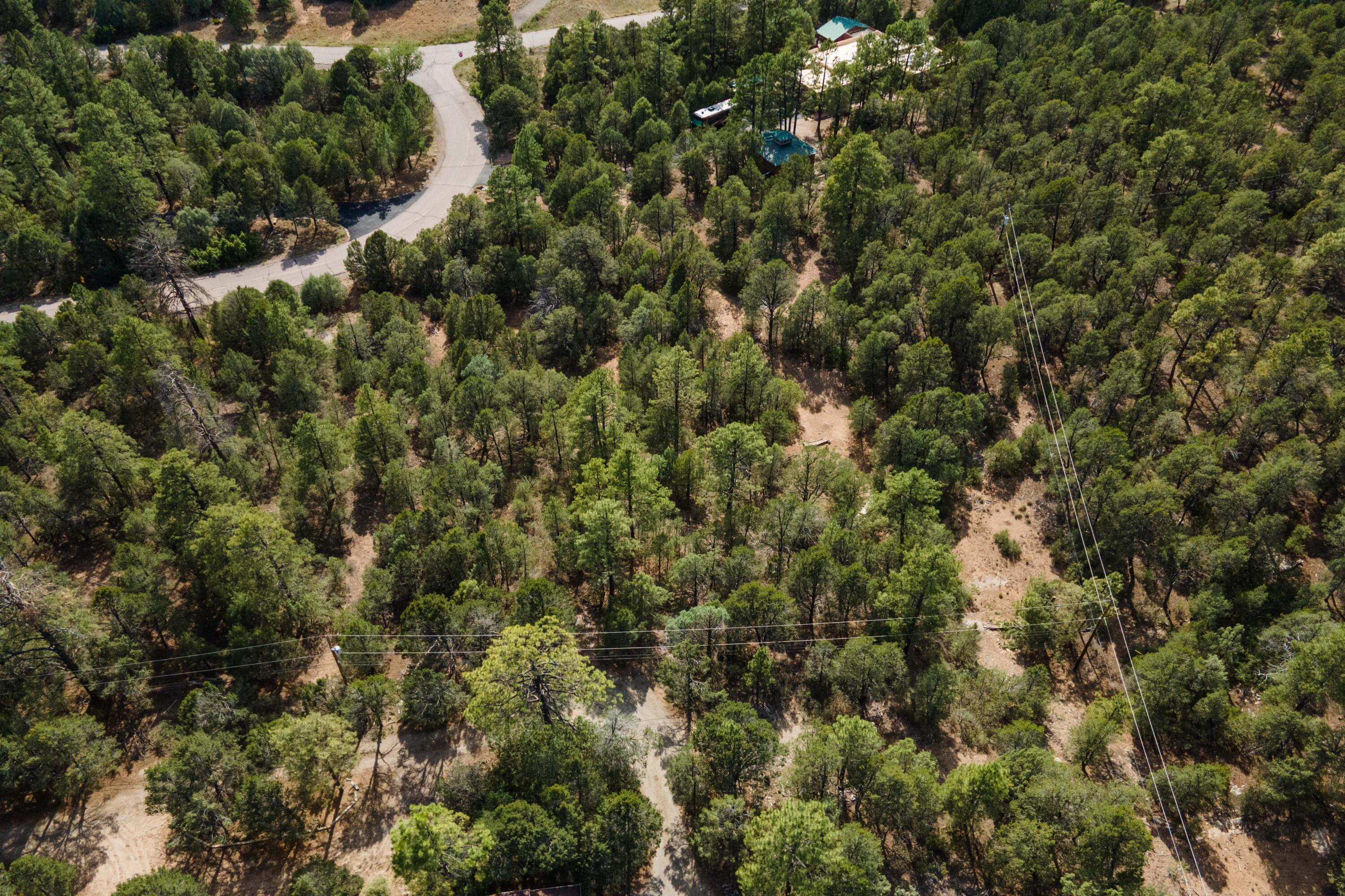 5 Stevenwald Road