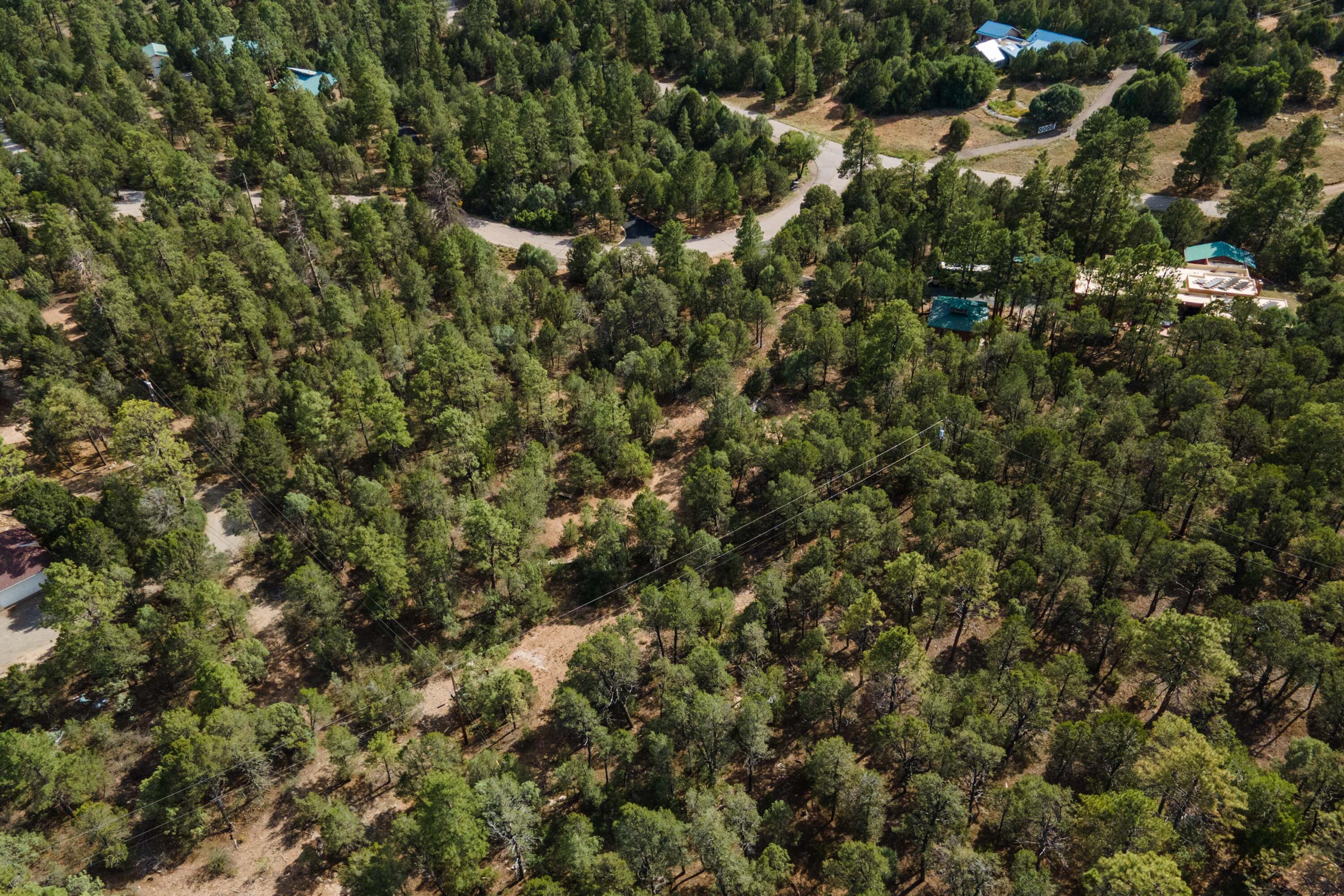 5 Stevenwald Road