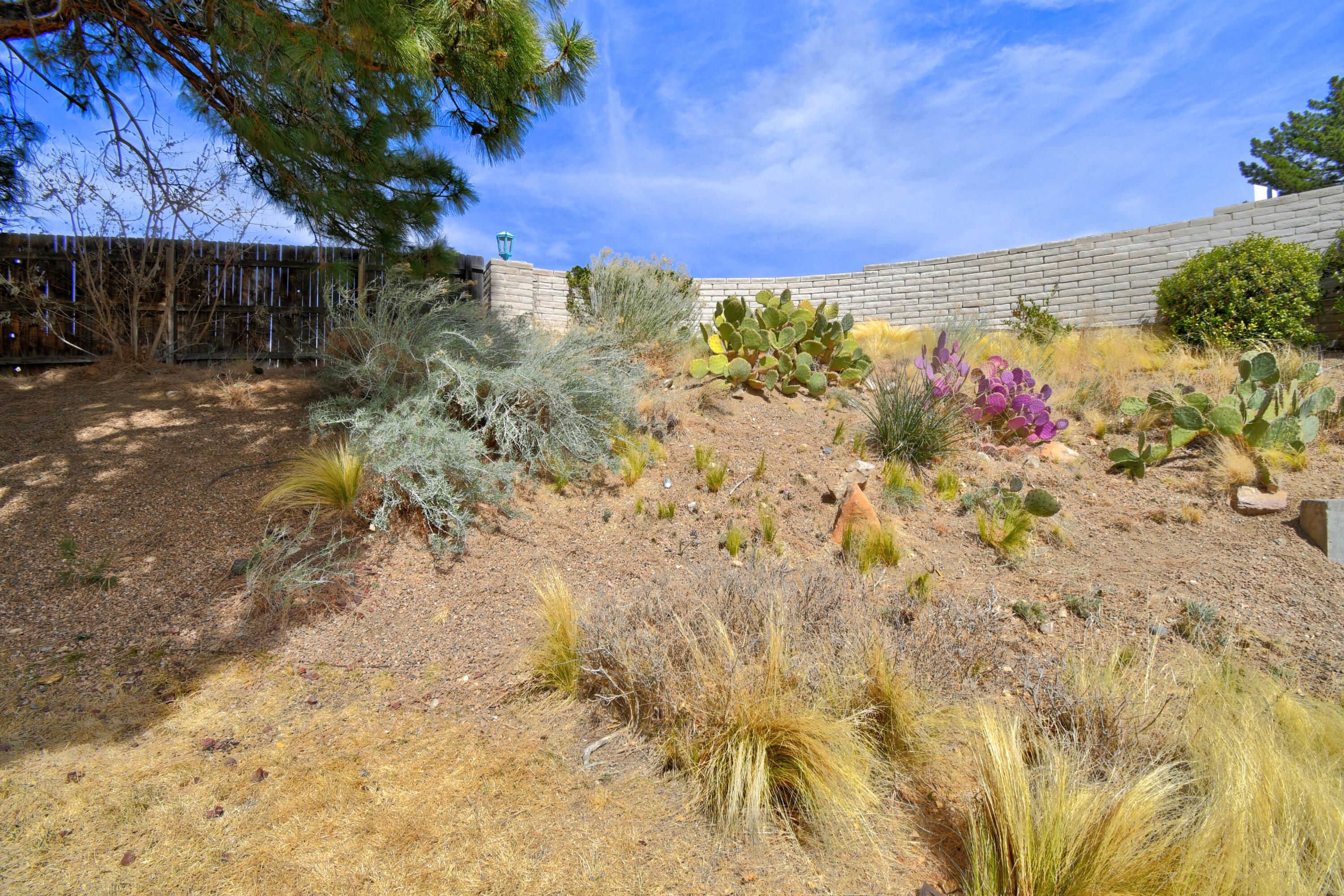 4441 Deborah Lane, Albuquerque, New Mexico image 18