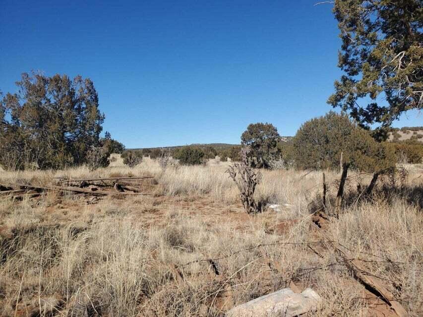 Old Abo Trail, Mountainair, New Mexico image 3