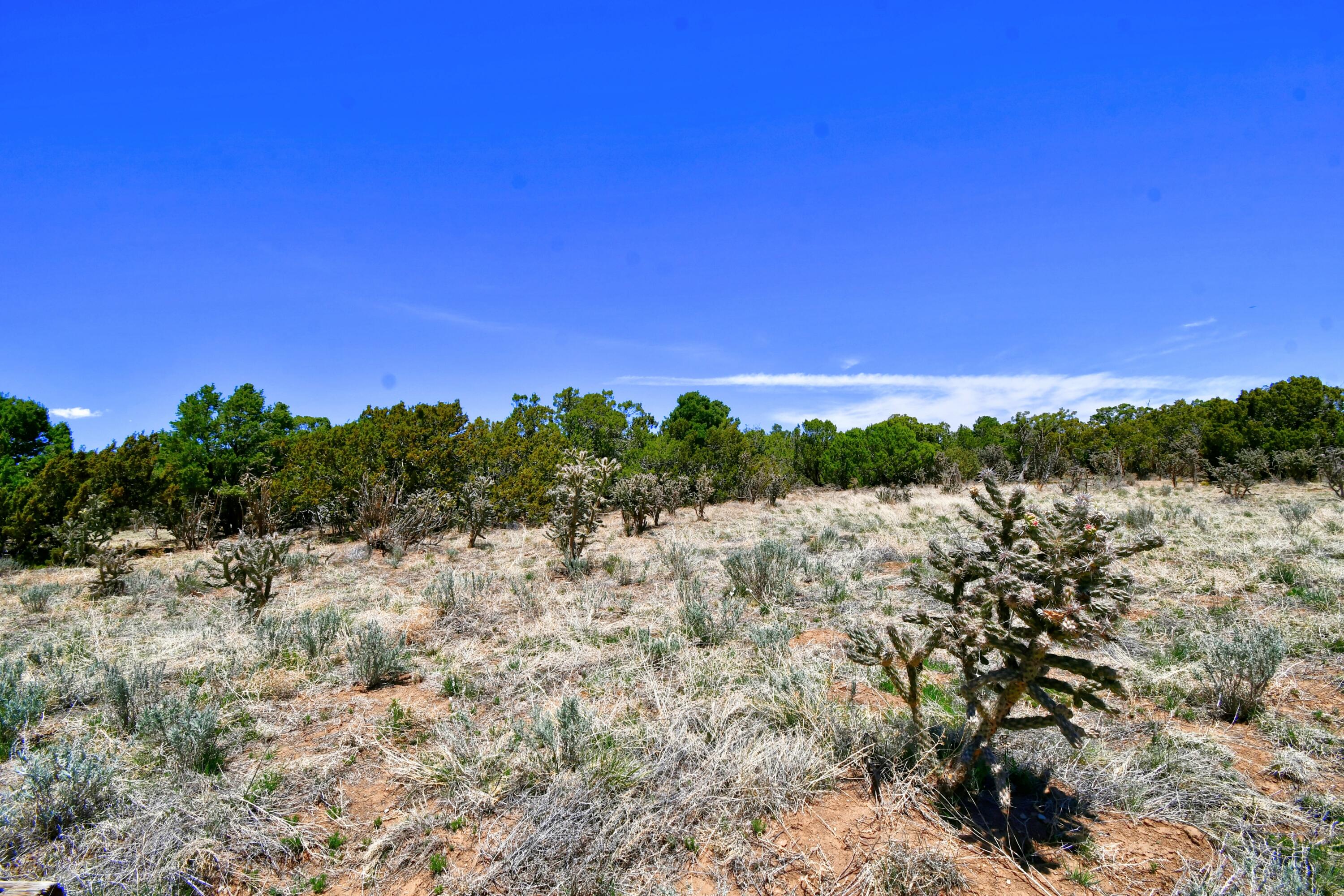 201 Entranosa/ Lot 4 Road, Edgewood, New Mexico image 2