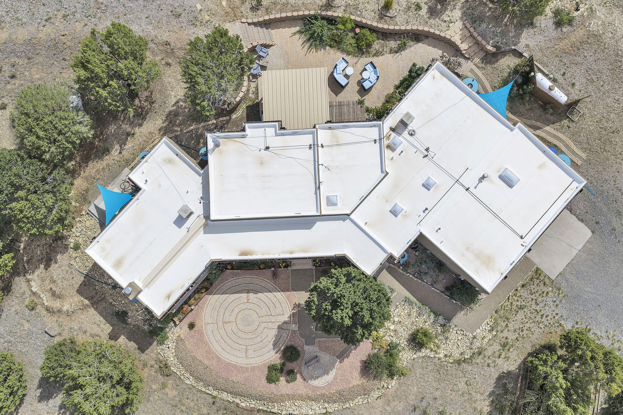 62 Anne Pickard Loop