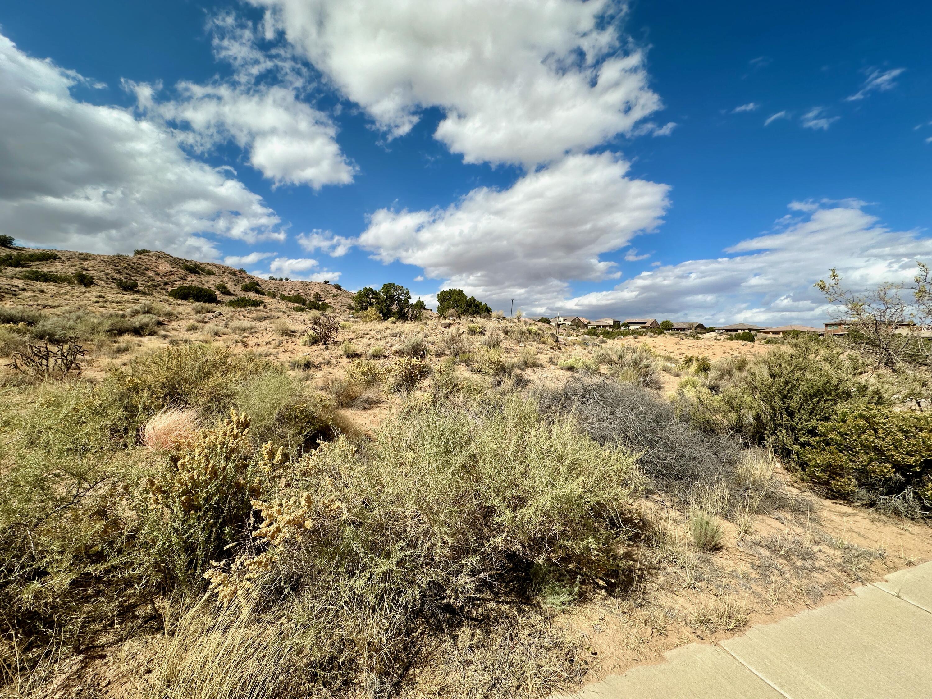 2313 Desert Marigold Road, Rio Rancho, New Mexico image 6