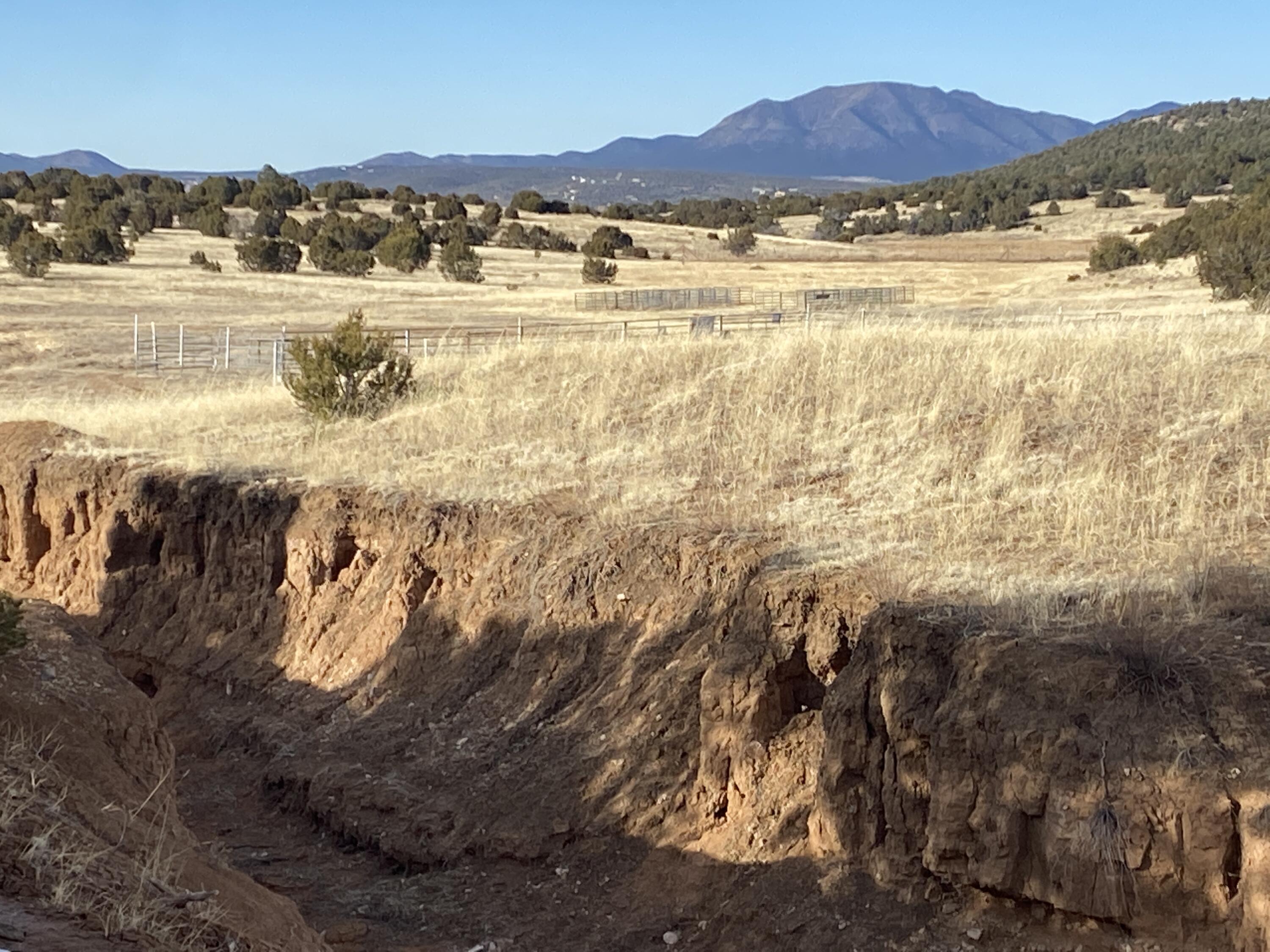 74 Barton Road, Edgewood, New Mexico image 4