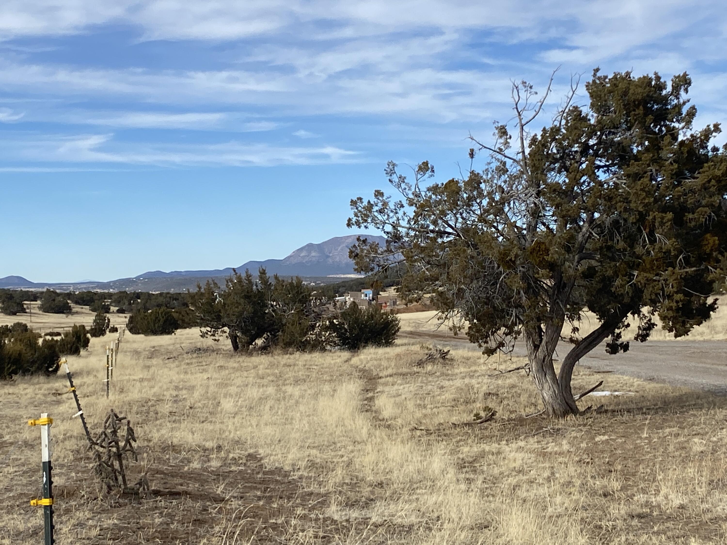 74 Barton Road, Edgewood, New Mexico image 3