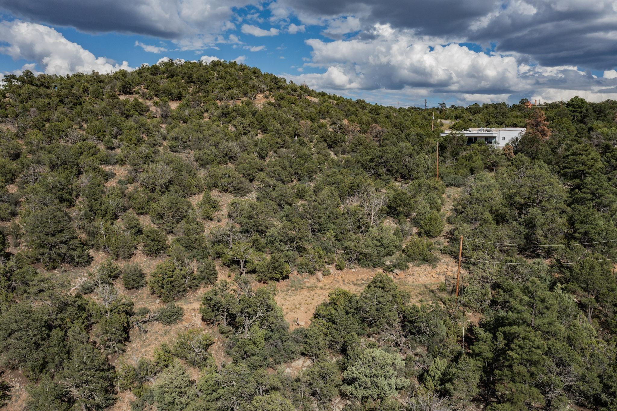 Sangre De Cristo Drive, Cedar Crest, New Mexico image 17