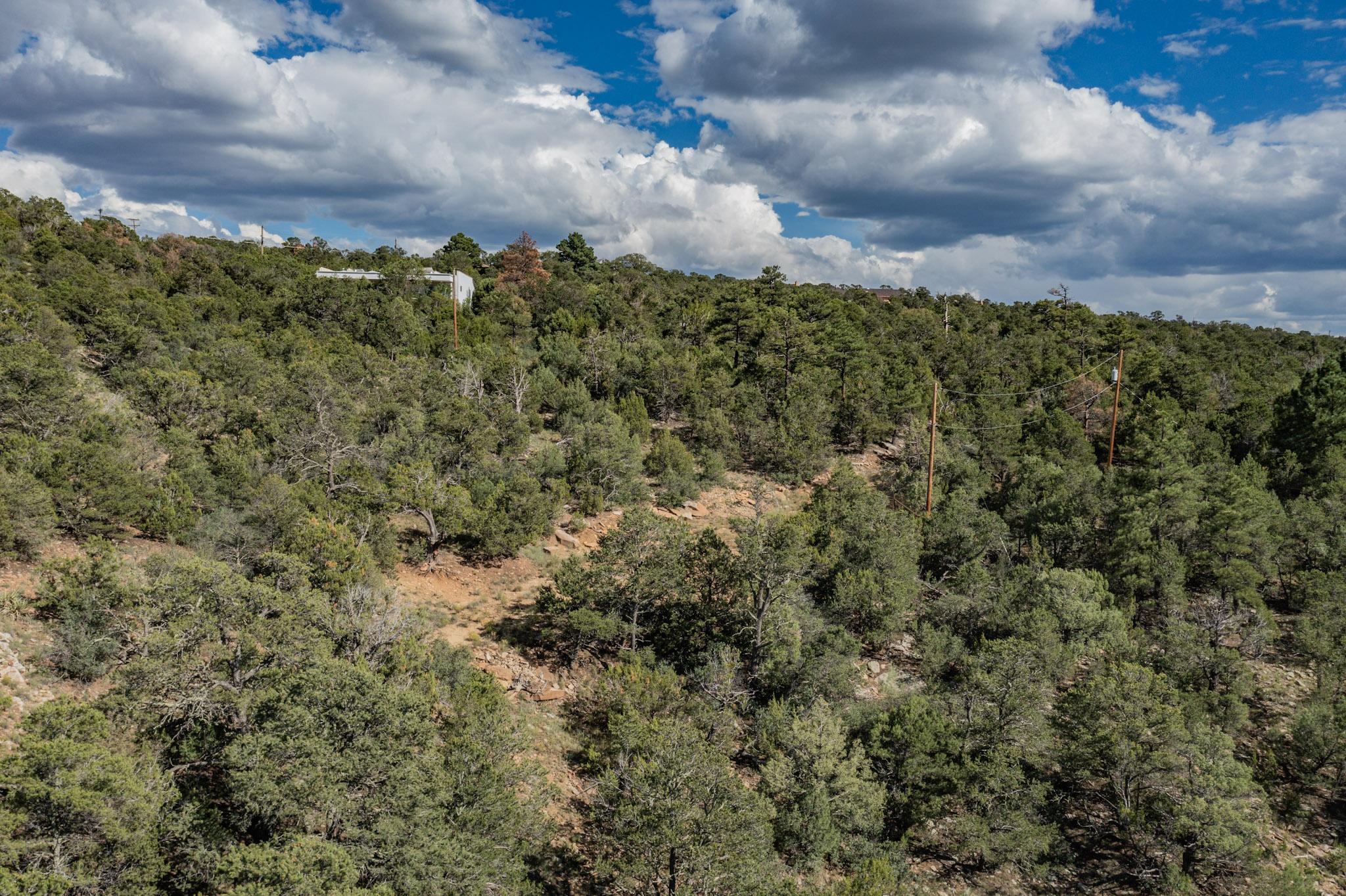 Sangre De Cristo Drive, Cedar Crest, New Mexico image 18