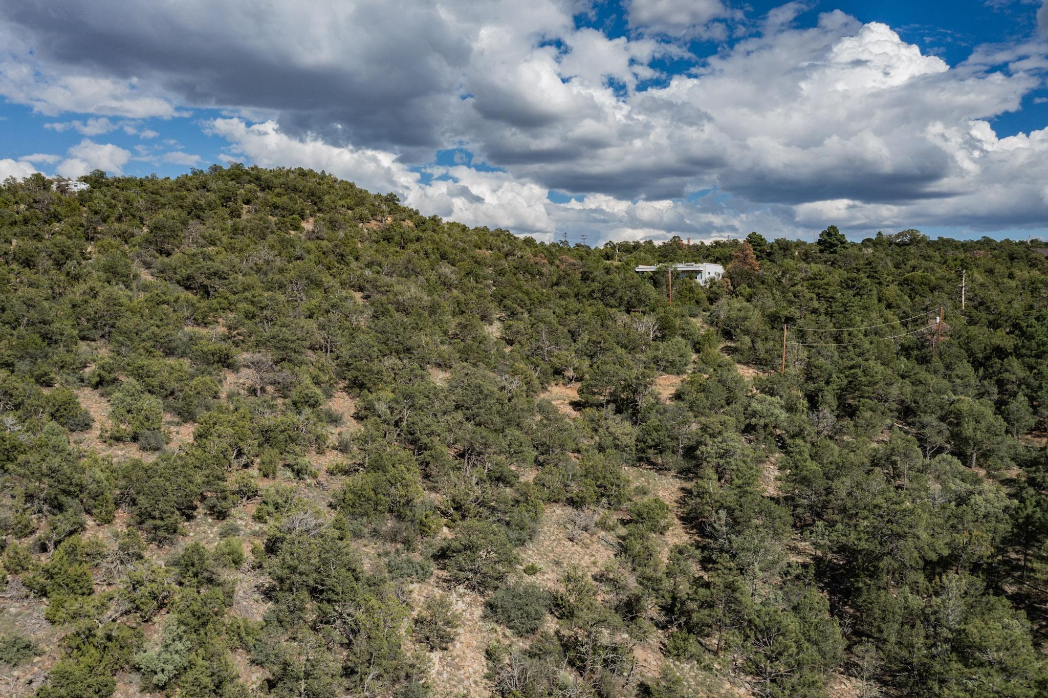 Sangre De Cristo Drive, Cedar Crest, New Mexico image 11