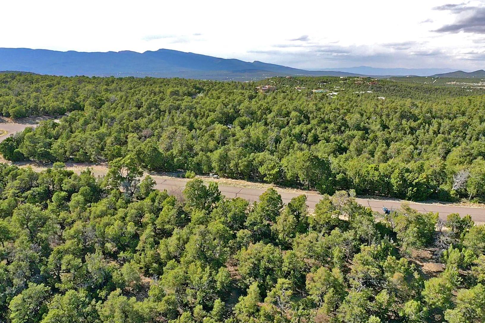 197 Via Sedillo Road, Tijeras, New Mexico image 18