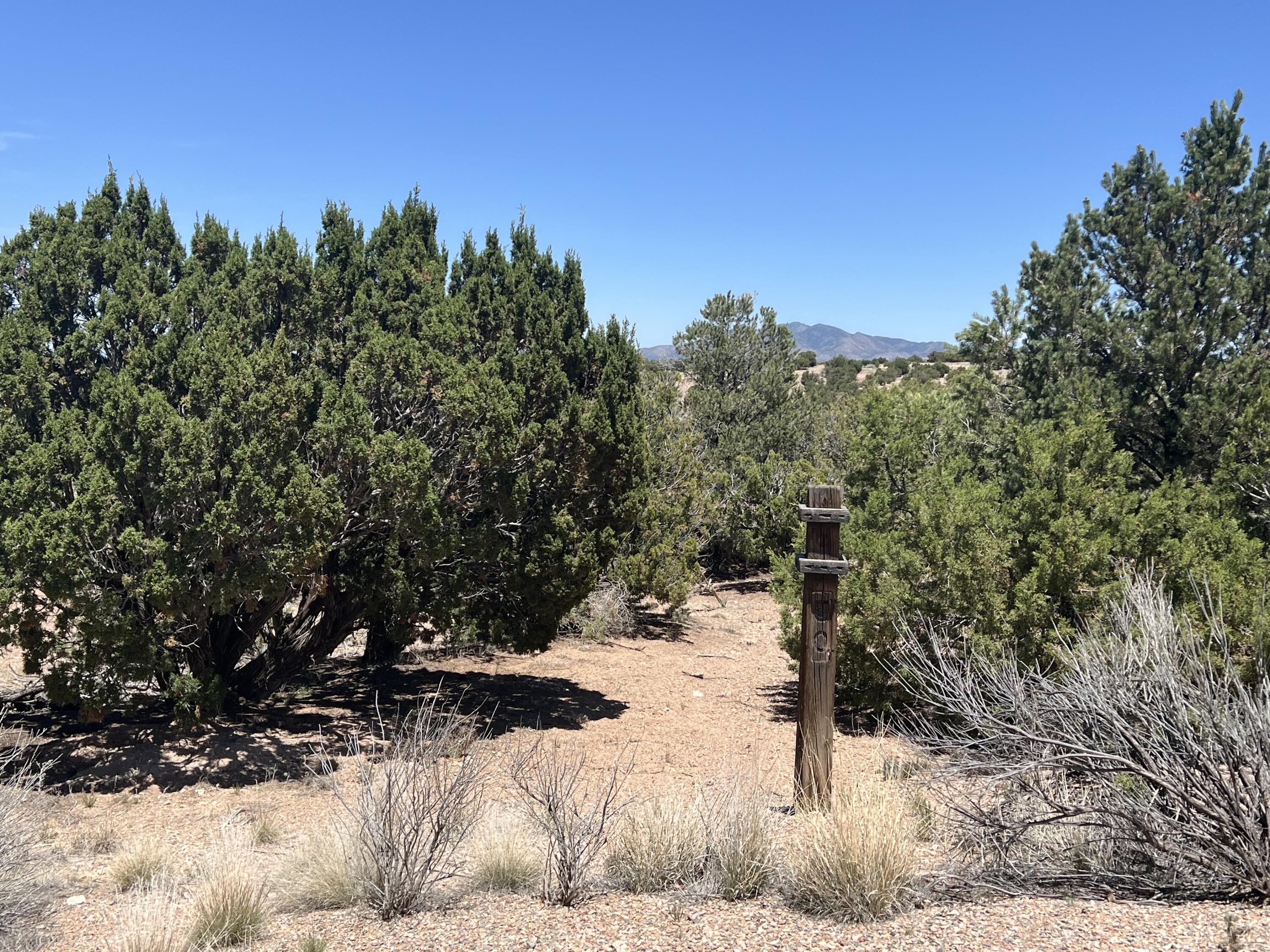 50 Old Rail Pass, Sandia Park, New Mexico image 1