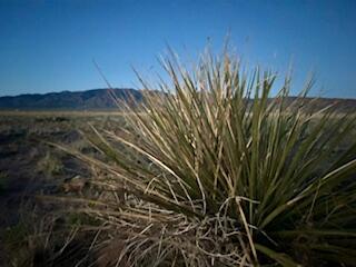 Lot 34 Decano Drive, Rio Communities, New Mexico image 4